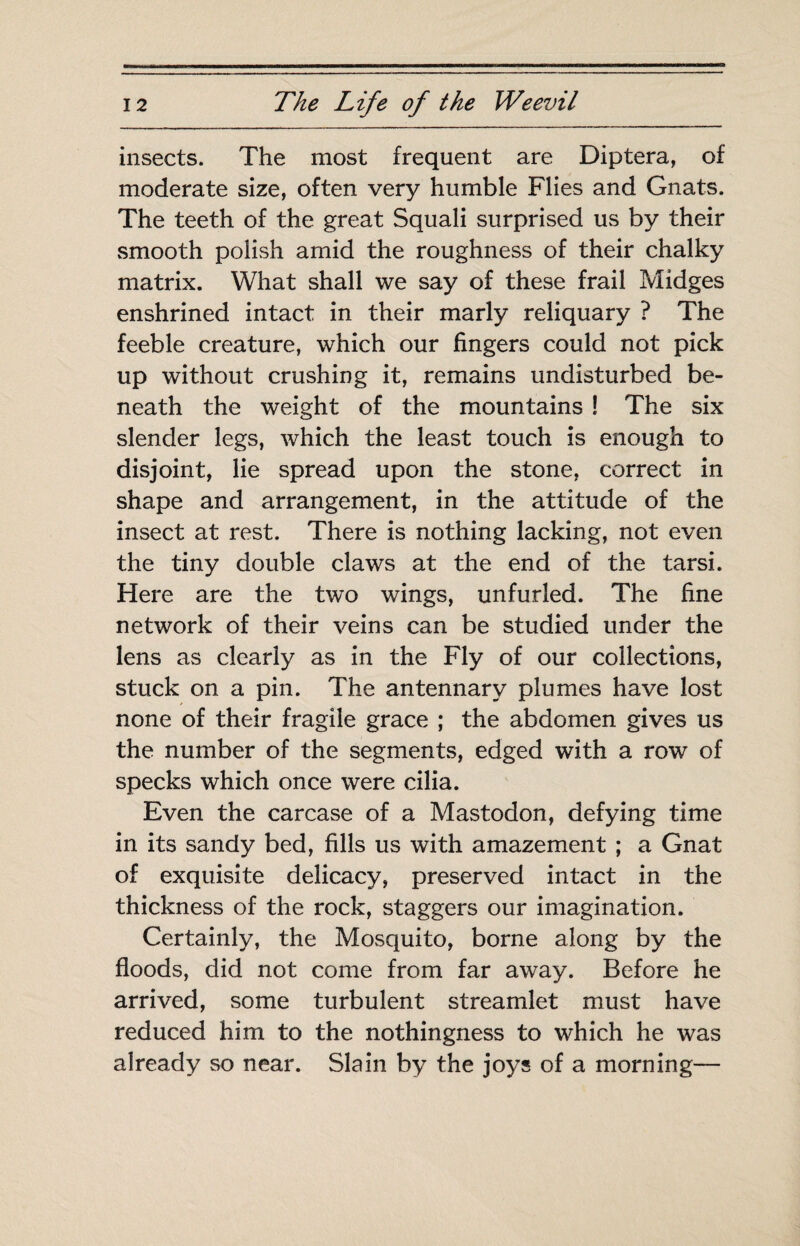 insects. The most frequent are Diptera, of moderate size, often very humble Flies and Gnats. The teeth of the great Squali surprised us by their smooth polish amid the roughness of their chalky matrix. What shall we say of these frail Midges enshrined intact in their marly reliquary ? The feeble creature, which our fingers could not pick up without crushing it, remains undisturbed be¬ neath the weight of the mountains ! The six slender legs, which the least touch is enough to disjoint, lie spread upon the stone, correct in shape and arrangement, in the attitude of the insect at rest. There is nothing lacking, not even the tiny double claws at the end of the tarsi. Here are the two wings, unfurled. The fine network of their veins can be studied under the lens as clearly as in the Fly of our collections, stuck on a pin. The antennary plumes have lost none of their fragile grace ; the abdomen gives us the number of the segments, edged with a row of specks which once were cilia. Even the carcase of a Mastodon, defying time in its sandy bed, fills us with amazement ; a Gnat of exquisite delicacy, preserved intact in the thickness of the rock, staggers our imagination. Certainly, the Mosquito, borne along by the floods, did not come from far away. Before he arrived, some turbulent streamlet must have reduced him to the nothingness to which he was already so near. Slain by the joys of a morning—