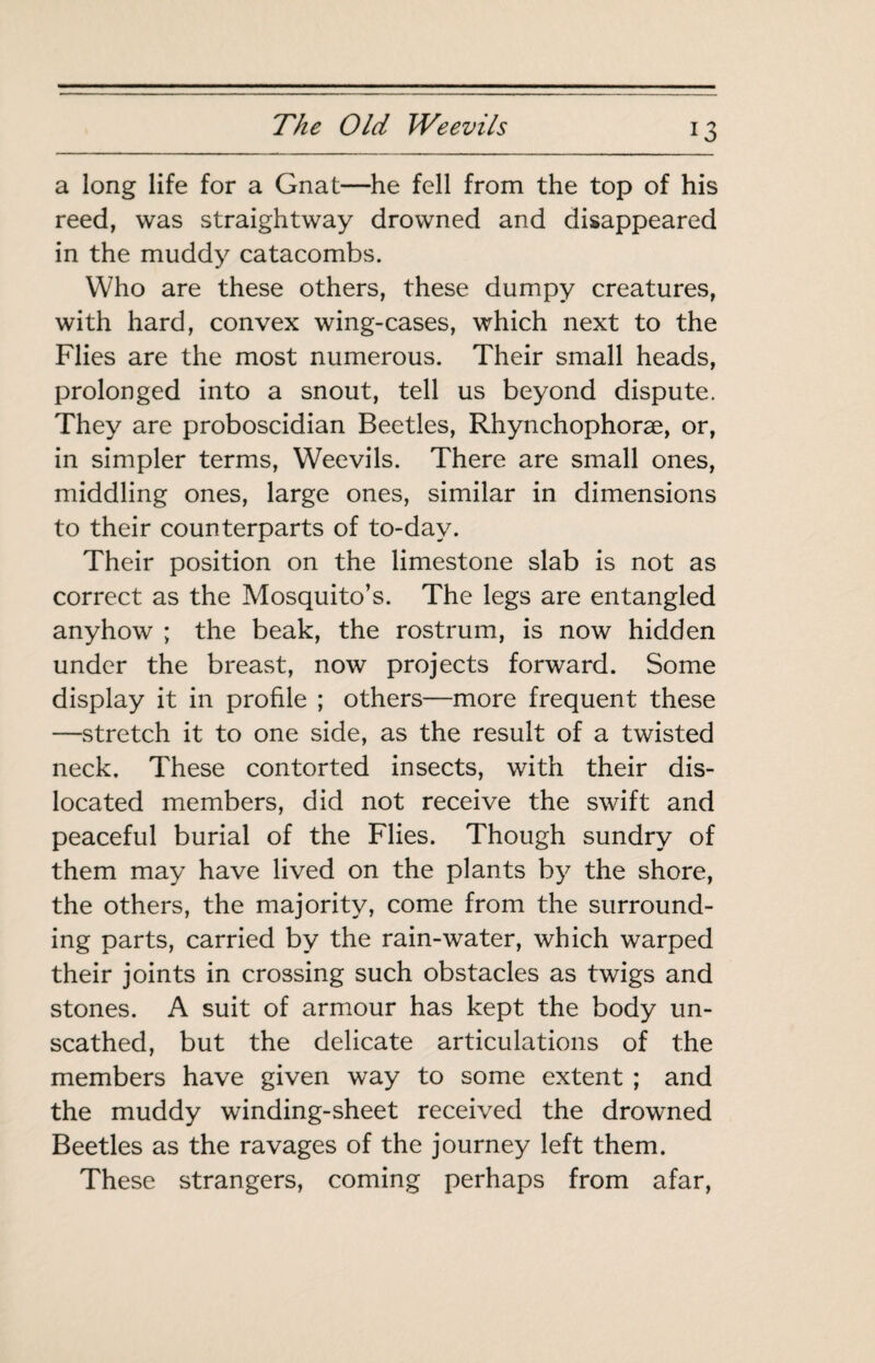 a long life for a Gnat—he fell from the top of his reed, was straightway drowned and disappeared in the muddy catacombs. Who are these others, these dumpy creatures, with hard, convex wing-cases, which next to the Flies are the most numerous. Their small heads, prolonged into a snout, tell us beyond dispute. They are proboscidian Beetles, Rhynchophoræ, or, in simpler terms. Weevils. There are small ones, middling ones, large ones, similar in dimensions to their counterparts of to-day. Their position on the limestone slab is not as correct as the Mosquito’s. The legs are entangled anyhow ; the beak, the rostrum, is now hidden under the breast, now projects forward. Some display it in profile ; others—more frequent these —stretch it to one side, as the result of a twisted neck. These contorted insects, with their dis¬ located members, did not receive the swift and peaceful burial of the Flies. Though sundry of them may have lived on the plants by the shore, the others, the majority, come from the surround¬ ing parts, carried by the rain-water, which warped their joints in crossing such obstacles as twigs and stones. A suit of armour has kept the body un¬ scathed, but the delicate articulations of the members have given way to some extent ; and the muddy winding-sheet received the drowned Beetles as the ravages of the journey left them. These strangers, coming perhaps from afar.