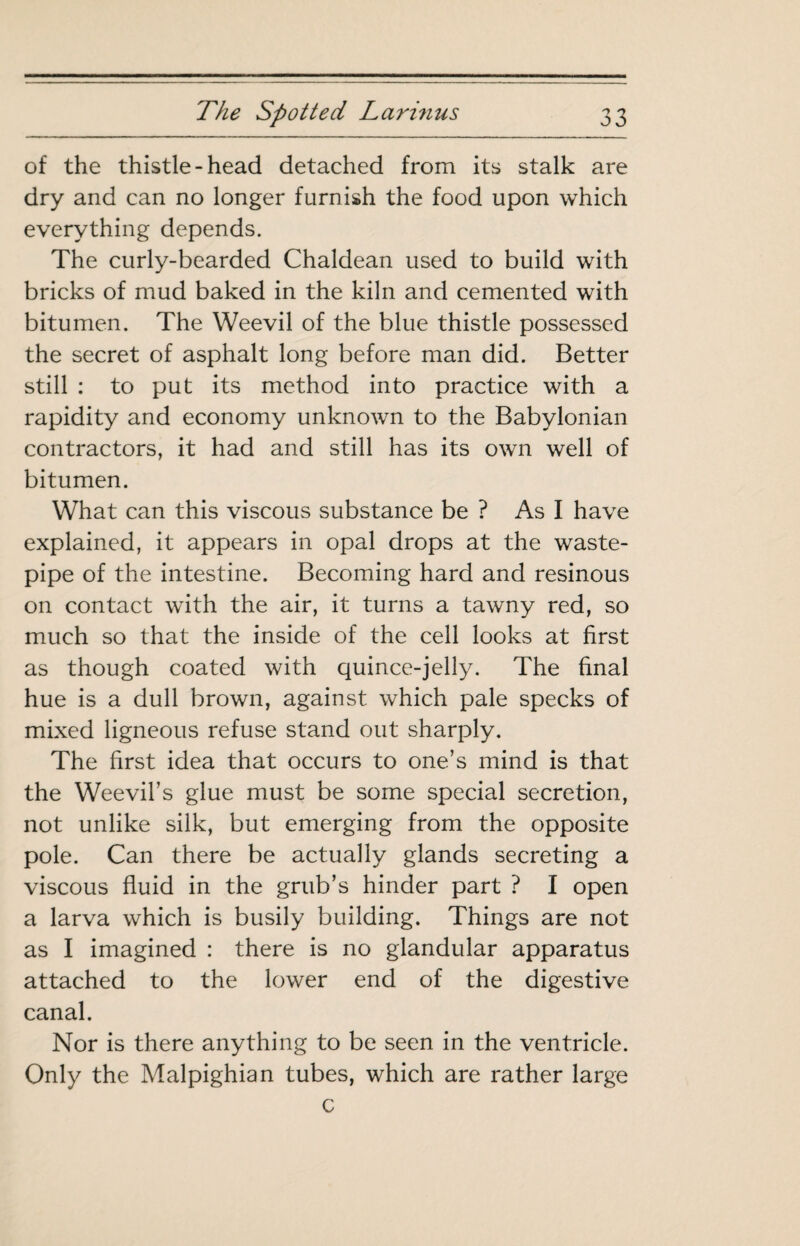 of the thistle-head detached from its stalk are dry and can no longer furnish the food upon which everything depends. The curly-bearded Chaldean used to build with bricks of mud baked in the kiln and cemented with bitumen. The Weevil of the blue thistle possessed the secret of asphalt long before man did. Better still : to put its method into practice with a rapidity and economy unknown to the Babylonian contractors, it had and still has its own well of bitumen. What can this viscous substance be ? As I have explained, it appears in opal drops at the waste- pipe of the intestine. Becoming hard and resinous on contact with the air, it turns a tawny red, so much so that the inside of the cell looks at first as though coated with quince-jelly. The final hue is a dull brown, against which pale specks of mixed ligneous refuse stand out sharply. The first idea that occurs to one’s mind is that the Weevil’s glue must be some special secretion, not unlike silk, but emerging from the opposite pole. Can there be actually glands secreting a viscous fluid in the grub’s hinder part ? I open a larva which is busily building. Things are not as I imagined : there is no glandular apparatus attached to the lower end of the digestive canal. Nor is there anything to be seen in the ventricle. Only the Malpighian tubes, which are rather large c