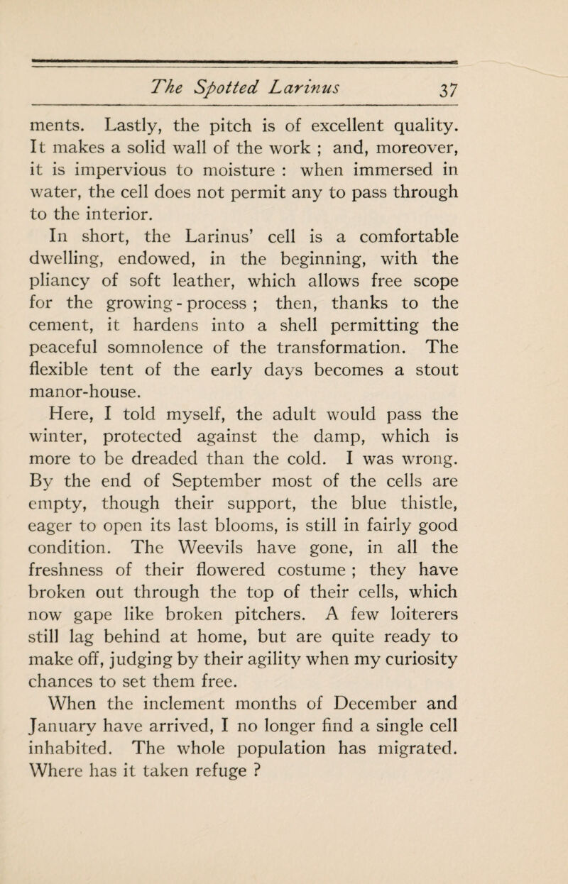 ments. Lastly, the pitch is of excellent quality. It makes a solid wall of the work ; and, moreover, it is impervious to moisture : when immersed in water, the cell does not permit any to pass through to the interior. In short, the Larinus’ cell is a comfortable dwelling, endowed, in the beginning, with the pliancy of soft leather, which allows free scope for the growing - process ; then, thanks to the cement, it hardens into a shell permitting the peaceful somnolence of the transformation. The flexible tent of the early days becomes a stout manor-house. Here, I told myself, the adult would pass the winter, protected against the damp, which is more to be dreaded than the cold. I was wrong. By the end of September most of the cells are empty, though their support, the blue thistle, eager to open its last blooms, is still in fairly good condition. The Weevils have gone, in all the freshness of their flowered costume ; they have broken out through the top of their cells, which now gape like broken pitchers. A few loiterers still lag behind at home, but are quite ready to make off, judging by their agility when my curiosity chances to set them free. When the inclement months of December and January have arrived, I no longer find a single cell inhabited. The whole population has migrated. Where has it taken refuge ?