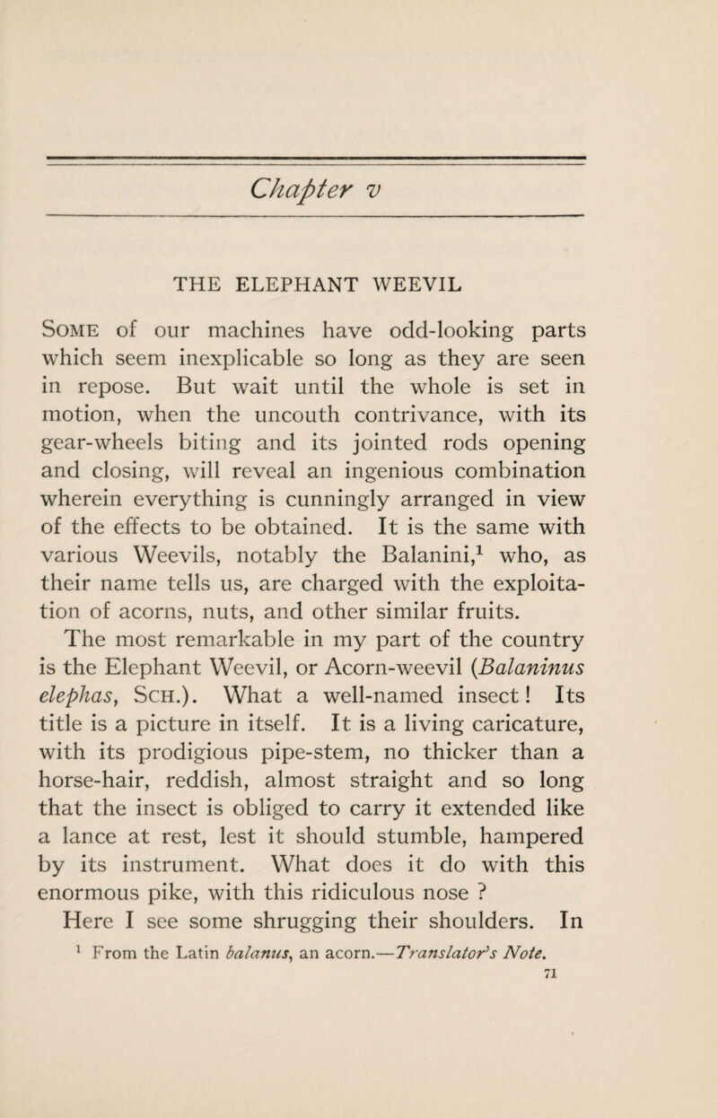 Chapter v THE ELEPHANT WEEVIL Some of our machines have odd-looking parts which seem inexplicable so long as they are seen in repose. But wait until the whole is set in motion, when the uncouth contrivance, with its gear-wheels biting and its jointed rods opening and closing, will reveal an ingenious combination wherein everything is cunningly arranged in view of the effects to be obtained. It is the same with various Weevils, notably the Balanini,^ who, as their name tells us, are charged with the exploita¬ tion of acorns, nuts, and other similar fruits. The most remarkable in my part of the country is the Elephant Weevil, or Acorn-weevil {Balaninus elephas, ScH.). What a well-named insect! Its title is a picture in itself. It is a living caricature, with its prodigious pipe-stem, no thicker than a horse-hair, reddish, almost straight and so long that the insect is obliged to carry it extended like a lance at rest, lest it should stumble, hampered by its instrument. What does it do with this enormous pike, with this ridiculous nose ? Here I see some shrugging their shoulders. In ^ From the Latin balanus^ an acorn.—Translators Note.