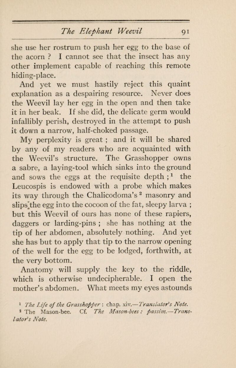 she use her rostrum to push her egg to the base of the acorn ? I cannot see that the insect has any other implement capable of reaching this remote hiding-place. And yet we must hastily reject this quaint explanation as a despairing resource. Never does the Weevil lay her egg in the open and then take it in her beak. If she did, the delicate germ would infallibly perish, destroyed in the attempt to push it down a narrow, half-choked passage. My perplexity is great ; and it will be shared by any of my readers who are acquainted with the Weevil’s structure. The Grasshopper owns a sabre, a laying-tool which sinks into the ground and sows the eggs at the requisite depth ; ^ the Leucospis is endowed with a probe which makes its way through the Chalicodoma’s ^ masonry and slips^the egg into the cocoon of the fat, sleepy larva ; but this Weevil of ours has none of these rapiers, daggers or larding-pins ; she has nothing at the tip of her abdomen, absolutely nothing. And yet she has but to apply that tip to the narrow opening of the well for the egg to be lodged, forthwith, at the very bottom. Anatomy will supply the key to the riddle, which is otherwise undecipherable. I open the mother’s abdomen. What meets my eyes astounds ^ The Life of the Grasshopper : chap, xiv.—Tratislator^s Note. * The Mason-bee. Cf. The Mason-bees : passim.—Trans¬ lators Note,