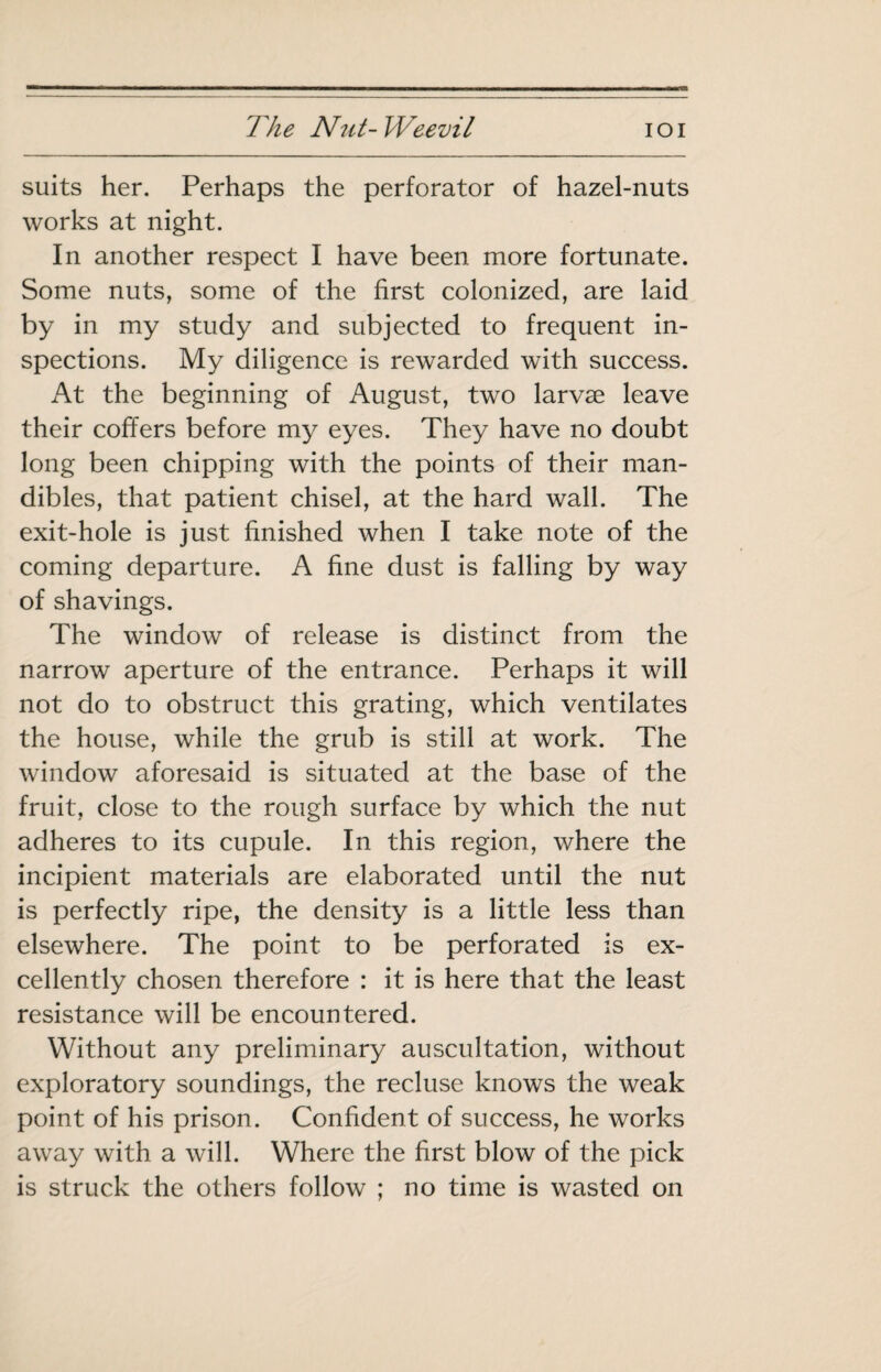 suits her. Perhaps the perforator of hazel-nuts works at night. In another respect I have been more fortunate. Some nuts, some of the first colonized, are laid by in my study and subjected to frequent in¬ spections. My diligence is rewarded with success. At the beginning of August, two larvae leave their coffers before my eyes. They have no doubt long been chipping with the points of their man¬ dibles, that patient chisel, at the hard wall. The exit-hole is just finished when I take note of the coming departure. A fine dust is falling by way of shavings. The window of release is distinct from the narrow aperture of the entrance. Perhaps it will not do to obstruct this grating, which ventilates the house, while the grub is still at work. The window aforesaid is situated at the base of the fruit, close to the rough surface by which the nut adheres to its cupule. In this region, where the incipient materials are elaborated until the nut is perfectly ripe, the density is a little less than elsewhere. The point to be perforated is ex¬ cellently chosen therefore : it is here that the least resistance will be encountered. Without any preliminary auscultation, without exploratory soundings, the recluse knows the weak point of his prison. Confident of success, he works away with a will. Where the first blow of the pick is struck the others follow ; no time is wasted on