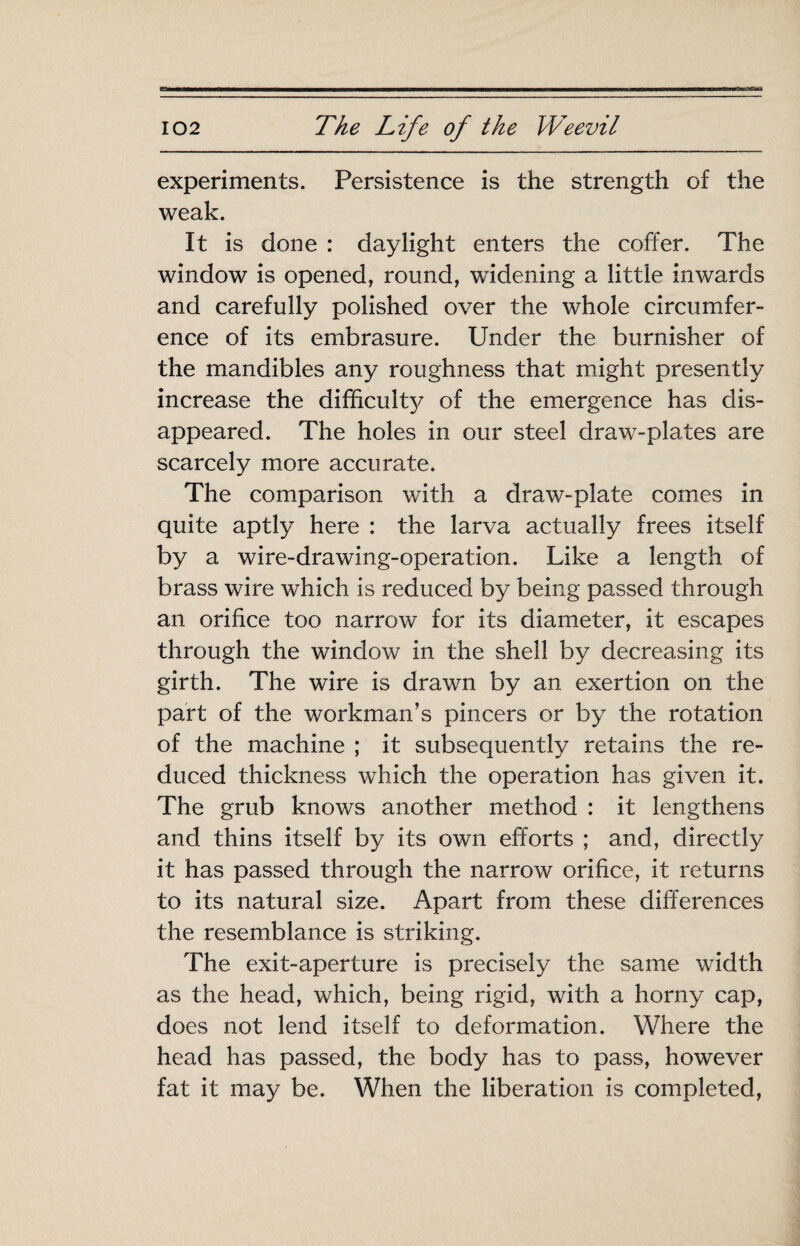 experiments. Persistence is the strength of the weak. It is done : daylight enters the coffer. The window is opened, round, widening a little inwards and carefully polished over the whole circumfer¬ ence of its embrasure. Under the burnisher of the mandibles any roughness that might presently increase the difficulty of the emergence has dis¬ appeared. The holes in our steel draw-plates are scarcely more accurate. The comparison with a draw-plate comes in quite aptly here : the larva actually frees itself by a wire-drawing-operation. Like a length of brass wire which is reduced by being passed through an orifice too narrow for its diameter, it escapes through the window in the shell by decreasing its girth. The wire is drawn by an exertion on the part of the workman’s pincers or by the rotation of the machine ; it subsequently retains the re¬ duced thickness which the operation has given it. The grub knows another method : it lengthens and thins itself by its own efforts ; and, directly it has passed through the narrow orifice, it returns to its natural size. Apart from these differences the resemblance is striking. The exit-aperture is precisely the same width as the head, which, being rigid, with a horny cap, does not lend itself to deformation. Where the head has passed, the body has to pass, however fat it may be. When the liberation is completed,