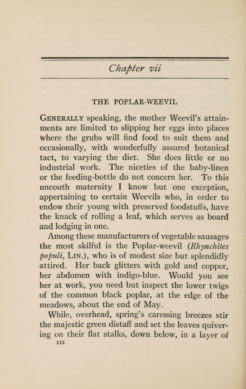 Chapter vit THE POPLAR-WEEVIL Generally speaking, the mother Weevil’s attain¬ ments are limited to slipping her eggs into places where the grubs will find food to suit them and occasionally, with wonderfully assured botanical tact, to varying the diet. She does little or no industrial work. The niceties of the baby-linen or the feeding-bottle do not concern her. To this uncouth maternity I know but one exception, appertaining to certain Weevils who, in order to endow their young with preserved foodstuffs, have the knack of rolling a leaf, which serves as board and lodging in one. Among these manufacturers of vegetable sausages the most skilful is the Poplar-weevil {Rhynchites populi, Lin.), who is of modest size but splendidly attired. Her back glitters with gold and copper, her abdomen with indigo-blue. Would you see her at work, you need but inspect the lower twigs of the common black poplar, at the edge of the meadows, about the end of May. While, overhead, spring’s caressing breezes stir the majestic green distaff and set the leaves quiver¬ ing on their flat stalks, down below, in a layer of