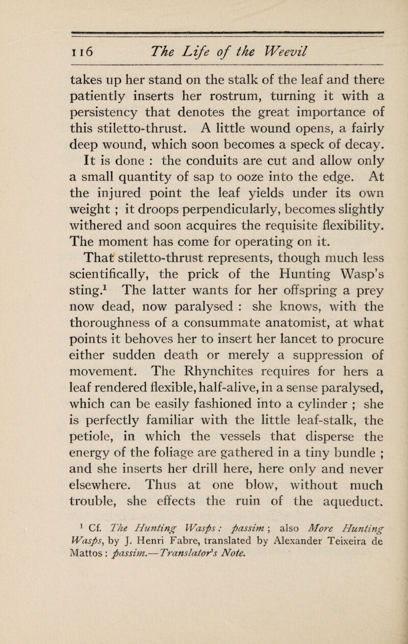 takes up her stand on the stalk of the leaf and there patiently inserts her rostrum, turning it with a persistency that denotes the great importance of this stiletto-thrust. A little wound opens, a fairly deep wound, which soon becomes a speck of decay. It is done : the conduits are cut and allow only a small quantity of sap to ooze into the edge. At the injured point the leaf yields under its own weight ; it droops perpendicularly, becomes slightly withered and soon acquires the requisite flexibility. The moment has come for operating on it. That stiletto-thrust represents, though much less scientifically, the prick of the Hunting Wasp’s sting.^ The latter wants for her offspring a prey now dead, now paralysed : she knows, with the thoroughness of a consummate anatomist, at what points it behoves her to insert her lancet to procure either sudden death or merely a suppression of movement. The Rhynchites requires for hers a leaf rendered flexible, half-alive, in a sense paralysed, which can be easily fashioned into a cylinder ; she is perfectly familiar with the little leaf-stalk, the petiole, in which the vessels that disperse the energy of the foliage are gathered in a tiny bundle ; and she inserts her drill here, here only and never elsewhere. Thus at one blow, without much trouble, she effects the ruin of the aqueduct. ^ Cf. The Hunting Wasps : passim ; also More Hunting Wasps, by J. Henri Fabre, translated by Alexander Teixeira de Mattos : passim.— Translateras Note,