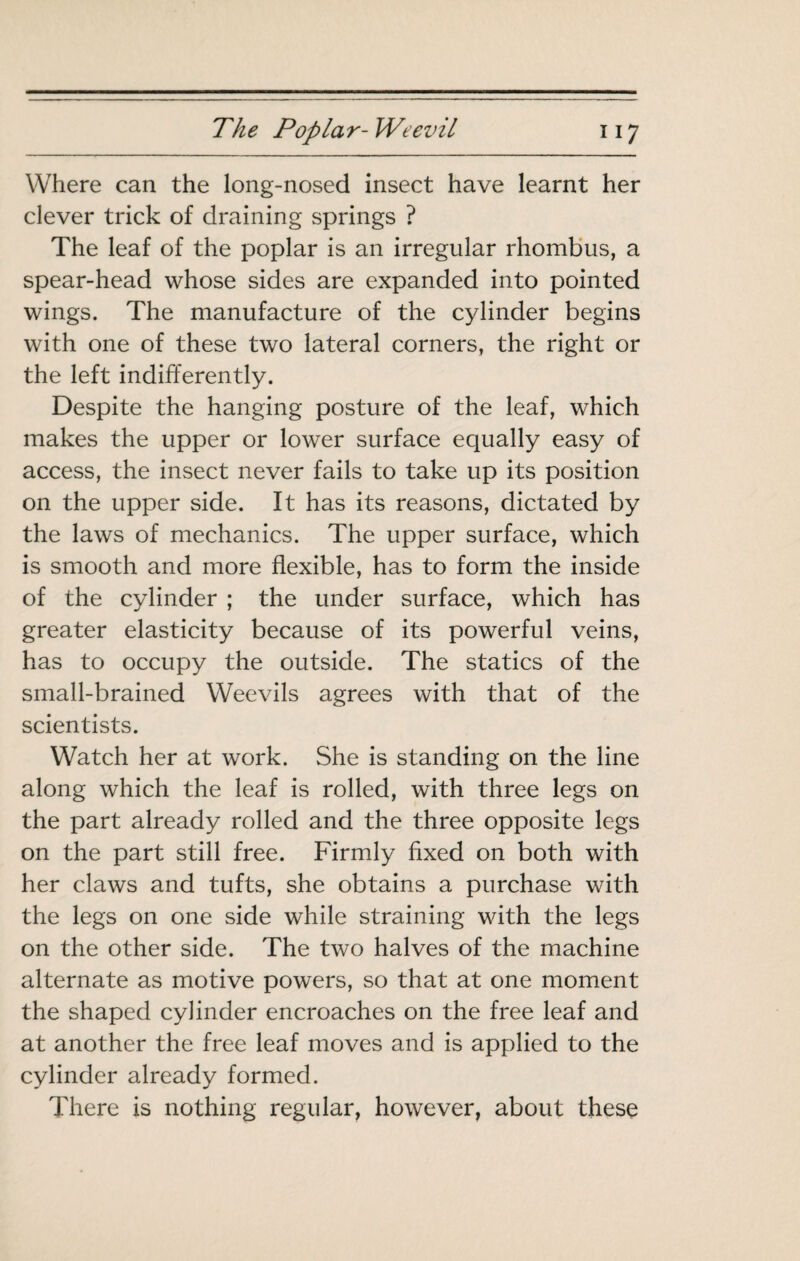 Where can the long-nosed insect have learnt her clever trick of draining springs ? The leaf of the poplar is an irregular rhombus, a spear-head whose sides are expanded into pointed wings. The manufacture of the cylinder begins with one of these two lateral corners, the right or the left indifferently. Despite the hanging posture of the leaf, which makes the upper or lower surface equally easy of access, the insect never fails to take up its position on the upper side. It has its reasons, dictated by the laws of mechanics. The upper surface, which is smooth and more flexible, has to form the inside of the cylinder ; the under surface, which has greater elasticity because of its powerful veins, has to occupy the outside. The statics of the small-brained Weevils agrees with that of the scientists. Watch her at work. She is standing on the line along which the leaf is rolled, with three legs on the part already rolled and the three opposite legs on the part still free. Firmly fixed on both with her claws and tufts, she obtains a purchase with the legs on one side while straining with the legs on the other side. The two halves of the machine alternate as motive powers, so that at one moment the shaped cylinder encroaches on the free leaf and at another the free leaf moves and is applied to the cylinder already formed. There is nothing regular, however, about these