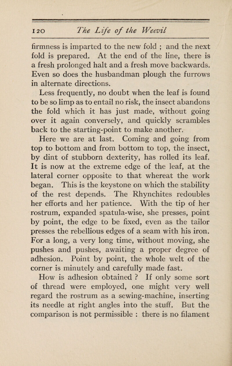 firmness is imparted to the new fold ; and the next fold is prepared. At the end of the line, there is a fresh prolonged halt and a fresh move backwards. Even so does the husbandman plough the furrows in alternate directions. Less frequently, no doubt when the leaf is found to be so limp as to entail no risk, the insect abandons the fold which it has just made, without going over it again conversely, and quickly scrambles back to the starting-point to make another. Here we are at last. Coming and going from top to bottom and from bottom to top, the insect, by dint of stubborn dexterity, has rolled its leaf. It is now at the extreme edge of the leaf, at the lateral corner opposite to that whereat the work began. This is the keystone on which the stability of the rest depends. The Rhynchites redoubles her efforts and her patience. With the tip of her rostrum, expanded spatula-wise, she presses, point by point, the edge to be fixed, even as the tailor presses the rebellious edges of a seam with his iron. For a long, a very long time, without moving, she pushes and pushes, awaiting a proper degree of adhesion. Point by point, the whole welt of the corner is minutely and carefully made fast. How is adhesion obtained ? If only some sort of thread were employed, one might very well regard the rostrum as a sewing-machine, inserting its needle at right angles into the stuff. But the comparison is not permissible : there is no filament