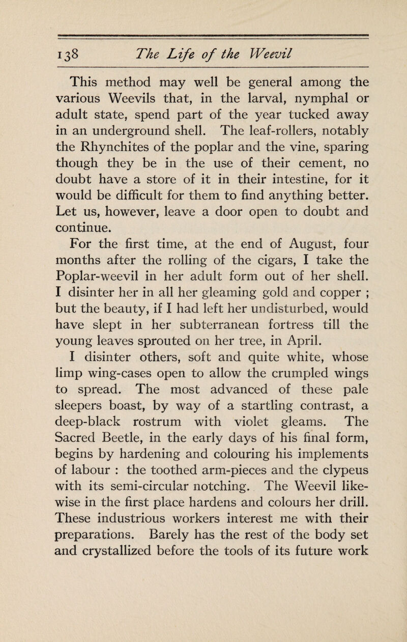 This method may well be general among the various Weevils that, in the larval, nymphal or adult state, spend part of the year tucked away in an underground shell. The leaf-rollers, notably the Rhynchites of the poplar and the vine, sparing though they be in the use of their cement, no doubt have a store of it in their intestine, for it would be difficult for them to find anything better. Let us, however, leave a door open to doubt and continue. For the first time, at the end of August, four months after the rolling of the cigars, I take the Poplar-weevil in her adult form out of her shell. I disinter her in all her gleaming gold and copper ; but the beauty, if I had left her undisturbed, would have slept in her subterranean fortress till the young leaves sprouted on her tree, in April. I disinter others, soft and quite white, whose limp wing-cases open to allow the crumpled wings to spread. The most advanced of these pale sleepers boast, by way of a startling contrast, a deep-black rostrum with violet gleams. The Sacred Beetle, in the early days of his final form, begins by hardening and colouring his implements of labour : the toothed arm-pieces and the clypeus with its semi-circular notching. The Weevil like¬ wise in the first place hardens and colours her drill. These industrious workers interest me with their preparations. Barely has the rest of the body set and crystallized before the tools of its future work