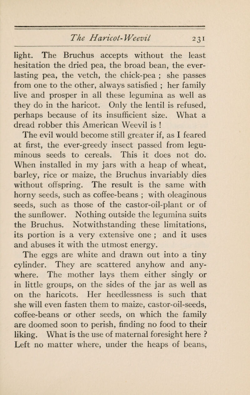 light. The Bruchus accepts without the least hesitation the dried pea, the broad bean, the ever¬ lasting pea, the vetch, the chick-pea ; she passes from one to the other, always satisfied ; her family live and prosper in all these legumina as well as they do in the haricot. Only the lentil is refused, perhaps because of its insufficient size. What a dread robber this American Weevil is ! The evil would become still greater if, as I feared at first, the ever-greedy insect passed from legu¬ minous seeds to cereals. This it does not do. When installed in my jars with a heap of wheat, barley, rice or maize, the Bruchus invariably dies without offspring. The result is the same with horny seeds, such as coffee-beans ; with oleaginous seeds, such as those of the castor-oil-plant or of the sunflower. Nothing outside the legumina suits the Bruchus. Notwithstanding these limitations, its portion is a very extensive one ; and it uses and abuses it with the utmost energy. The eggs are white and drawn out into a tiny cylinder. They are scattered anyhow and any¬ where. The mother lays them either singly or in little groups, on the sides of the jar as well as on the haricots. Her heedlessness is such that she will even fasten them to maize, castor-oil-seeds, coffee-beans or other seeds, on which the family are doomed soon to perish, finding no food to their liking. What is the use of maternal foresight here ? Left no matter where, under the heaps of beans.