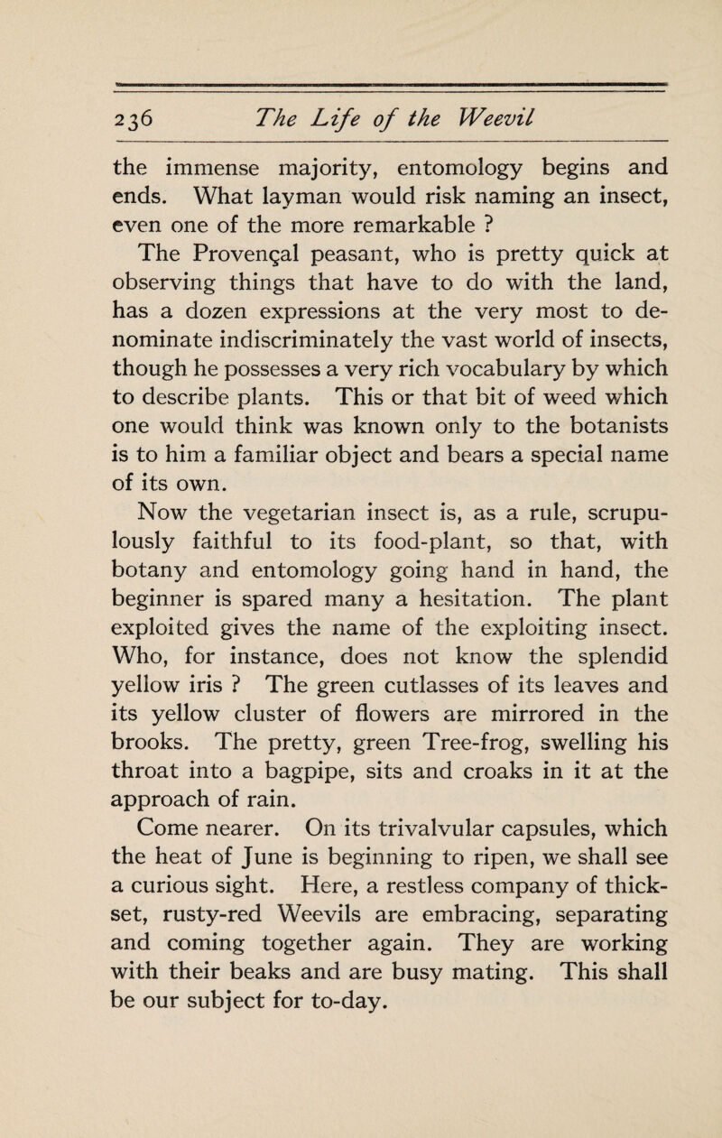 the immense majority, entomology begins and ends. What layman would risk naming an insect, even one of the more remarkable ? The Provençal peasant, who is pretty quick at observing things that have to do with the land, has a dozen expressions at the very most to de¬ nominate indiscriminately the vast world of insects, though he possesses a very rich vocabulary by which to describe plants. This or that bit of weed which one would think was known only to the botanists is to him a familiar object and bears a special name of its own. Now the vegetarian insect is, as a rule, scrupu¬ lously faithful to its food-plant, so that, with botany and entomology going hand in hand, the beginner is spared many a hesitation. The plant exploited gives the name of the exploiting insect. Who, for instance, does not know the splendid yellow iris ? The green cutlasses of its leaves and its yellow cluster of flowers are mirrored in the brooks. The pretty, green Tree-frog, swelling his throat into a bagpipe, sits and croaks in it at the approach of rain. Come nearer. On its trivalvular capsules, which the heat of June is beginning to ripen, we shall see a curious sight. Here, a restless company of thick¬ set, rusty-red Weevils are embracing, separating and coming together again. They are working with their beaks and are busy mating. This shall be our subject for to-day.