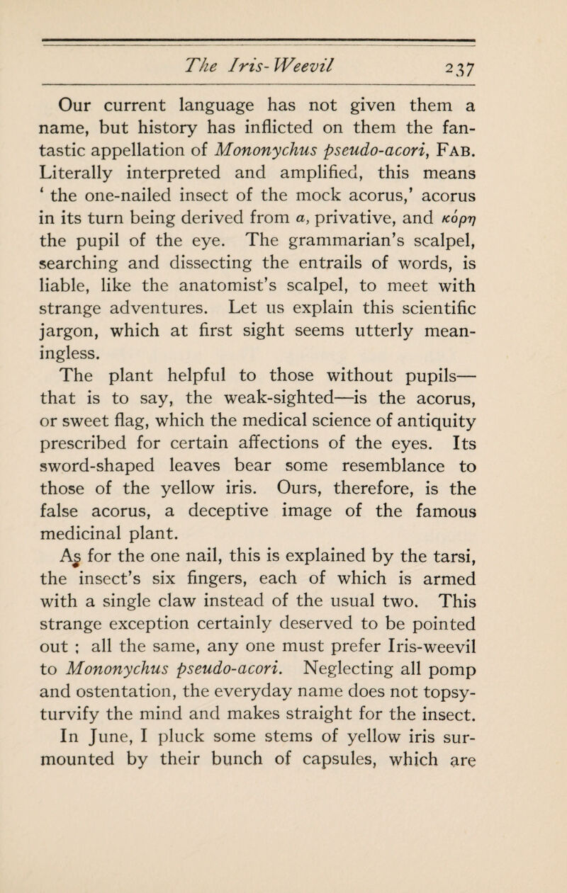 Our current language has not given them a name, but history has inflicted on them the fan¬ tastic appellation of Mononychus pseudo-acori, Fab. Literally interpreted and amplified, this means ‘ the one-nailed insect of the mock acorus,’ acorus in its turn being derived from a, privative, and Kopr] the pupil of the eye. The grammarian’s scalpel, searching and dissecting the entrails of words, is liable, like the anatomist’s scalpel, to meet with strange adventures. Let us explain this scientific jargon, which at first sight seems utterly mean¬ ingless. The plant helpful to those without pupils— that is to say, the weak-sighted—is the acorus, or sweet flag, which the medical science of antiquity prescribed for certain affections of the eyes. Its sword-shaped leaves bear some resemblance to those of the yellow iris. Ours, therefore, is the false acorus, a deceptive image of the famous medicinal plant. for the one nail, this is explained by the tarsi, the insect’s six fingers, each of which is armed with a single claw instead of the usual two. This strange exception certainly deserved to be pointed out ; all the same, any one must prefer Iris-weevil to Mononychus pseudo-acori. Neglecting all pomp and ostentation, the everyday name does not topsy- turvify the mind and makes straight for the insect. In June, I pluck some stems of yellow iris sur¬ mounted by their bunch of capsules, which are