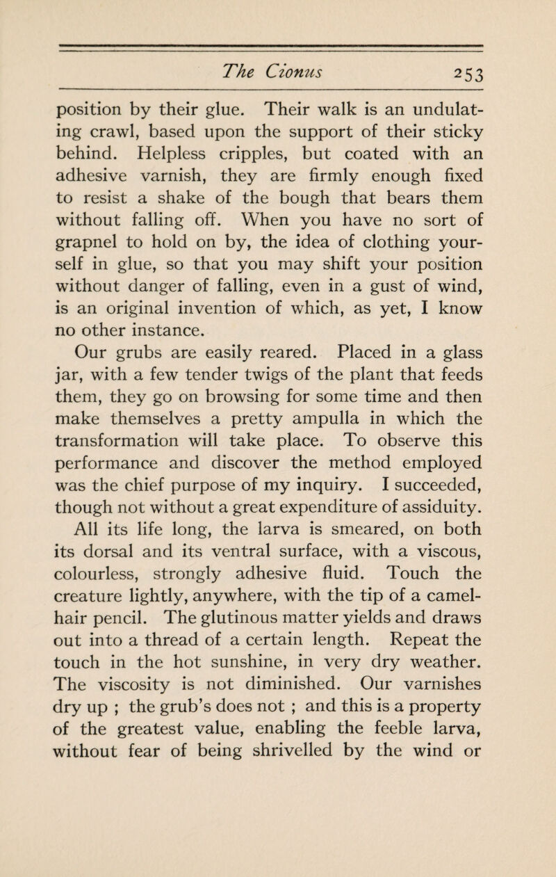 position by their glue. Their walk is an undulat¬ ing crawl, based upon the support of their sticky behind. Helpless cripples, but coated with an adhesive varnish, they are firmly enough fixed to resist a shake of the bough that bears them without falling off. When you have no sort of grapnel to hold on by, the idea of clothing your¬ self in glue, so that you may shift your position without danger of falling, even in a gust of wind, is an original invention of which, as yet, I know no other instance. Our grubs are easily reared. Placed in a glass jar, with a few tender twigs of the plant that feeds them, they go on browsing for some time and then make themselves a pretty ampulla in which the transformation will take place. To observe this performance and discover the method employed was the chief purpose of my inquiry. I succeeded, though not without a great expenditure of assiduity. All its life long, the larva is smeared, on both its dorsal and its ventral surface, with a viscous, colourless, strongly adhesive fluid. Touch the creature lightly, anywhere, with the tip of a camel- hair pencil. The glutinous matter yields and draws out into a thread of a certain length. Repeat the touch in the hot sunshine, in very dry weather. The viscosity is not diminished. Our varnishes dry up ; the grub’s does not ; and this is a property of the greatest value, enabling the feeble larva, without fear of being shrivelled by the wind or