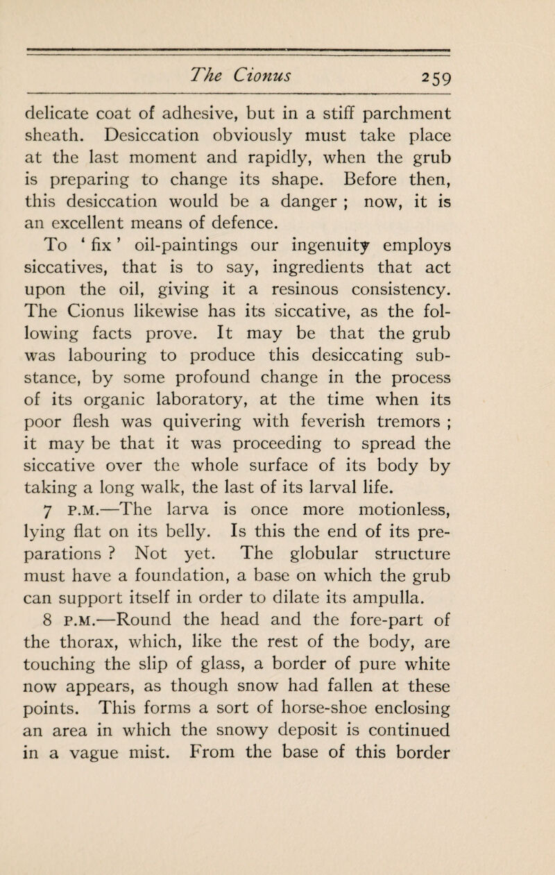 delicate coat of adhesive, but in a stiff parchment sheath. Desiccation obviously must take place at the last moment and rapidly, when the grub is preparing to change its shape. Before then, this desiccation would be a danger ; now, it is an excellent means of defence. To ‘ fix ’ oil-paintings our ingenuity employs siccatives, that is to say, ingredients that act upon the oil, giving it a resinous consistency. The Cionus likewise has its siccative, as the fol¬ lowing facts prove. It may be that the grub was labouring to produce this desiccating sub¬ stance, by some profound change in the process of its organic laboratory, at the time when its poor flesh was quivering with feverish tremors ; it may be that it was proceeding to spread the siccative over the whole surface of its body by taking a long walk, the last of its larval life. 7 p.M.—The larva is once more motionless, lying flat on its belly. Is this the end of its pre¬ parations ? Not yet. The globular structure must have a foundation, a base on which the grub can support itself in order to dilate its ampulla. 8 P.M.—Round the head and the fore-part of the thorax, which, like the rest of the body, are touching the slip of glass, a border of pure white now appears, as though snow had fallen at these points. This forms a sort of horse-shoe enclosing an area in which the snowy deposit is continued in a vague mist. From the base of this border