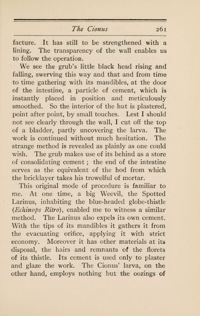 facture. It has still to be strengthened with a lining. The transparency of the wall enables us to follow the operation. We see the grub’s little black head rising and falling, swerving this way and that and from time to time gathering with its mandibles, at the door of the intestine, a particle of cement, which is instantly placed in position and meticulously smoothed. So the interior of the hut is plastered, point after point, by small touches. Lest I should not see clearly through the wall, I cut off the top of a bladder, partly uncovering the larva. The work is continued without much hesitation. The strange method is revealed as plainly as one could wish. The grub makes use of its behind as a store of consolidating cement ; the end of the intestine serves as the equivalent of the hod from which the bricklayer takes his trowelful of mortar. This original mode of procedure is familiar to me. At one time, a big Weevil, the Spotted Larinus, inhabiting the blue-headed globe-thistle {Echinops Ritro), enabled me to witness a similar method. The Larinus also expels its own cement. With the tips of its mandibles it gathers it from the evacuating orifice, applying it with strict economy. Moreover it has other materials at its disposal, the hairs and remnants of the florets of its thistle. Its cement is used only to plaster and glaze the work. The Cionus’ larva, on the other hand, employs nothing but the oozings of