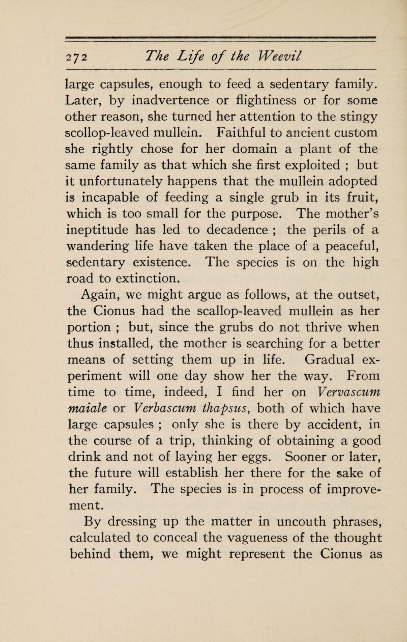 large capsules, enough to feed a sedentary family. Later, by inadvertence or flightiness or for some other reason, she turned her attention to the stingy scollop-leaved mullein. Faithful to ancient custom she rightly chose for her domain a plant of the same family as that which she first exploited ; but it unfortunately happens that the mullein adopted is incapable of feeding a single grub in its fruit, which is too small for the purpose. The mother’s ineptitude has led to decadence ; the perils of a wandering life have taken the place of a peaceful, sedentary existence. The species is on the high road to extinction. Again, we might argue as follows, at the outset, the Cionus had the scallop-leaved mullein as her portion ; but, since the grubs do not thrive when thus installed, the mother is searching for a better means of setting them up in life. Gradual ex¬ periment will one day show her the way. From time to time, indeed, I find her on Vervascum maiale or Verhascum thapsus, both of which have large capsules ; only she is there by accident, in the course of a trip, thinking of obtaining a good drink and not of laying her eggs. Sooner or later, the future will establish her there for the sake of her family. The species is in process of improve¬ ment. By dressing up the matter in uncouth phrases, calculated to conceal the vagueness of the thought behind them, we might represent the Cionus as