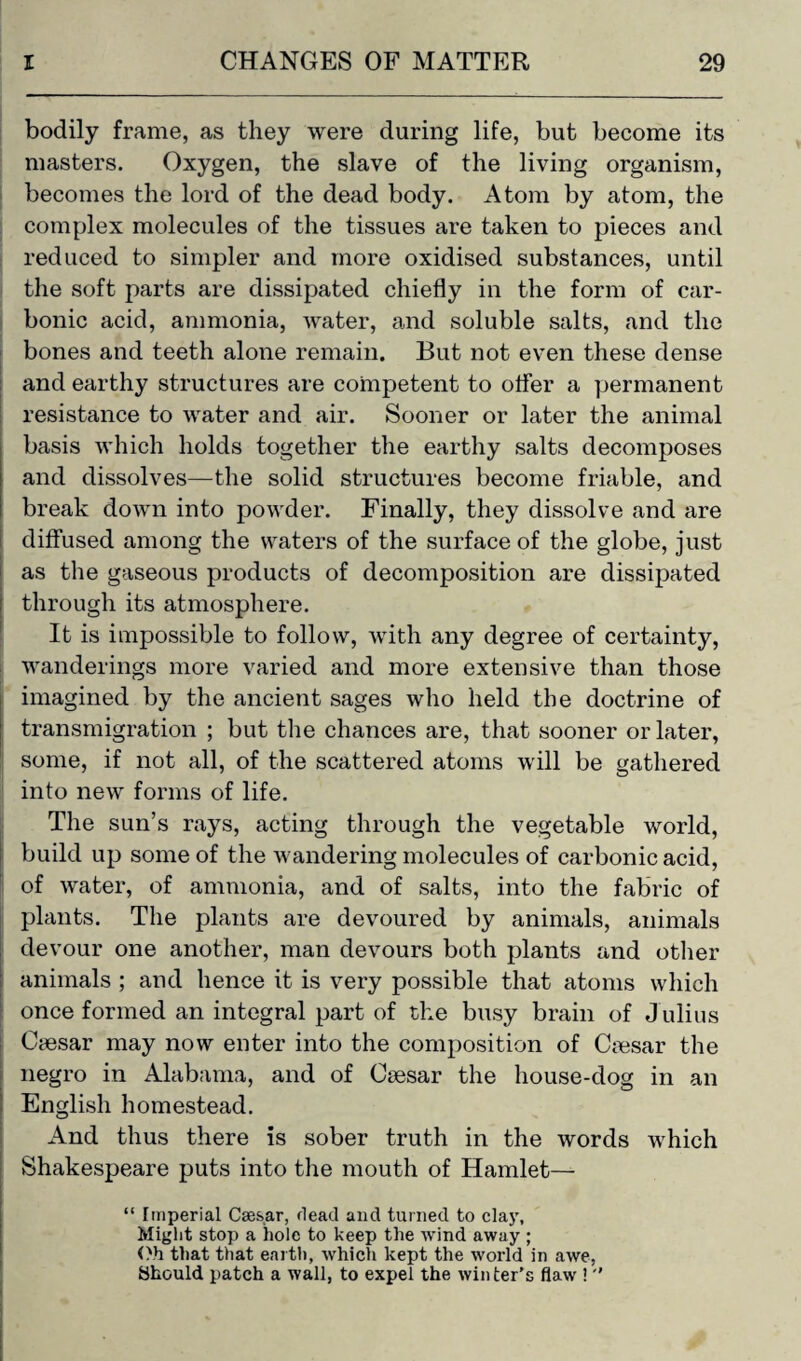 bodily frame, as they were during life, but become its masters. Oxygen, the slave of the living organism, becomes the lord of the dead body. Atom by atom, the complex molecules of the tissues are taken to pieces and reduced to simpler and more oxidised substances, until the soft parts are dissipated chiefly in the form of car¬ bonic acid, ammonia, Avater, and soluble salts, and the bones and teeth alone remain. But not even these dense and earthy structures are competent to offer a permanent resistance to water and air. Sooner or later the animal basis which holds together the earthy salts decomposes and dissolves—the solid structures become friable, and break down into powder. Finally, they dissolve and are diffused among the waters of the surface of the globe, just as the gaseous products of decomposition are dissipated through its atmosphere. It is impossible to follow, with any degree of certainty, wanderings more varied and more extensive than those imagined by the ancient sages who held the doctrine of transmigration ; but the chances are, that sooner or later, some, if not all, of the scattered atoms will be gathered into new forms of life. The sun’s rays, acting through the vegetable world, build up some of the wandering molecules of carbonic acid, of water, of ammonia, and of salts, into the fabric of plants. The plants are devoured by animals, animals devour one another, man devours both plants and other animals ; and hence it is very possible that atoms which once formed an integral part of the busy brain of Julius Crnsar may now enter into the composition of Cmsar the negro in Alabama, and of Osesar the house-dog in an English homestead. And thus there is sober truth in the words which Shakespeare puts into the mouth of Hamlet— “ Imperial Caesar, dead and turned to clay, Might stop a hole to keep the wind away ; Oh that that earth, which kept the world in awe, Should patch a wall, to expel the win ter’s flaw ! 