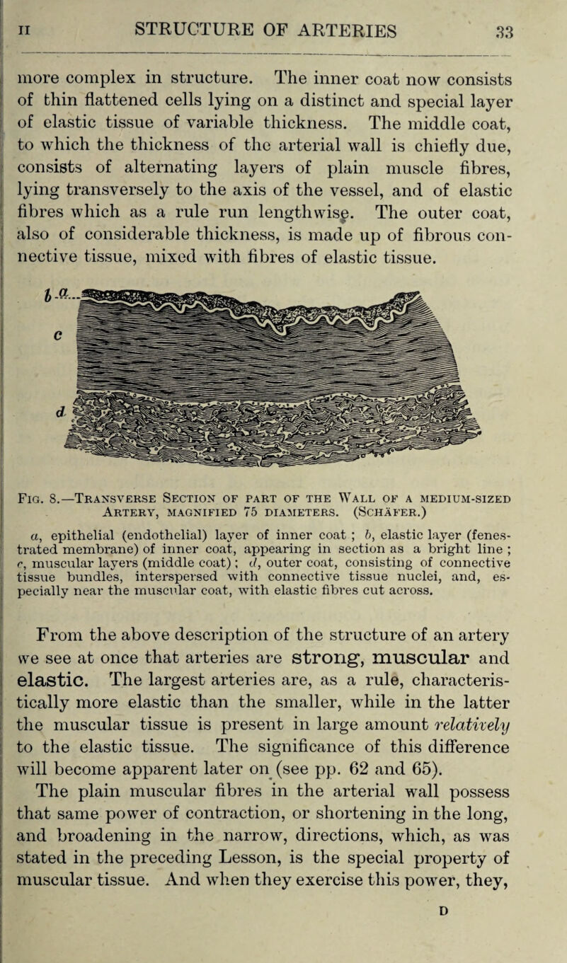 more complex in structure. The inner coat now consists of thin flattened cells lying on a distinct and special layer of elastic tissue of variable thickness. The middle coat, to which the thickness of the arterial wall is chiefly due, consists of alternating layers of plain muscle fibres, lying transversely to the axis of the vessel, and of elastic fibres which as a rule run lengthwis^. The outer coat, also of considerable thickness, is made up of fibrous con¬ nective tissue, mixed with fibres of elastic tissue. Fig. 8.—Transverse Section of part of the Wall of a medium-sized Artery, magnified 75 diameters. (Schafer.) a, epithelial (endothelial) layer of inner coat ; b, elastic layer (fenes¬ trated membrane) of inner coat, appearing in section as a bright line ; c, muscular layers (middle coat) ; d, outer coat, consisting of connective tissue bundles, interspersed with connective tissue nuclei, and, es¬ pecially near the muscular coat, with elastic fibres cut across. From the above description of the structure of an artery we see at once that arteries are strong1, muscular and elastic. The largest arteries are, as a rule, characteris¬ tically more elastic than the smaller, while in the latter the muscular tissue is present in large amount relatively to the elastic tissue. The significance of this difference will become apparent later on (see pp. 62 and 65). The plain muscular fibres in the arterial wall possess that same power of contraction, or shortening in the long, and broadening in the narrow, directions, which, as was stated in the preceding Lesson, is the special property of muscular tissue. And when they exercise this power, they, D