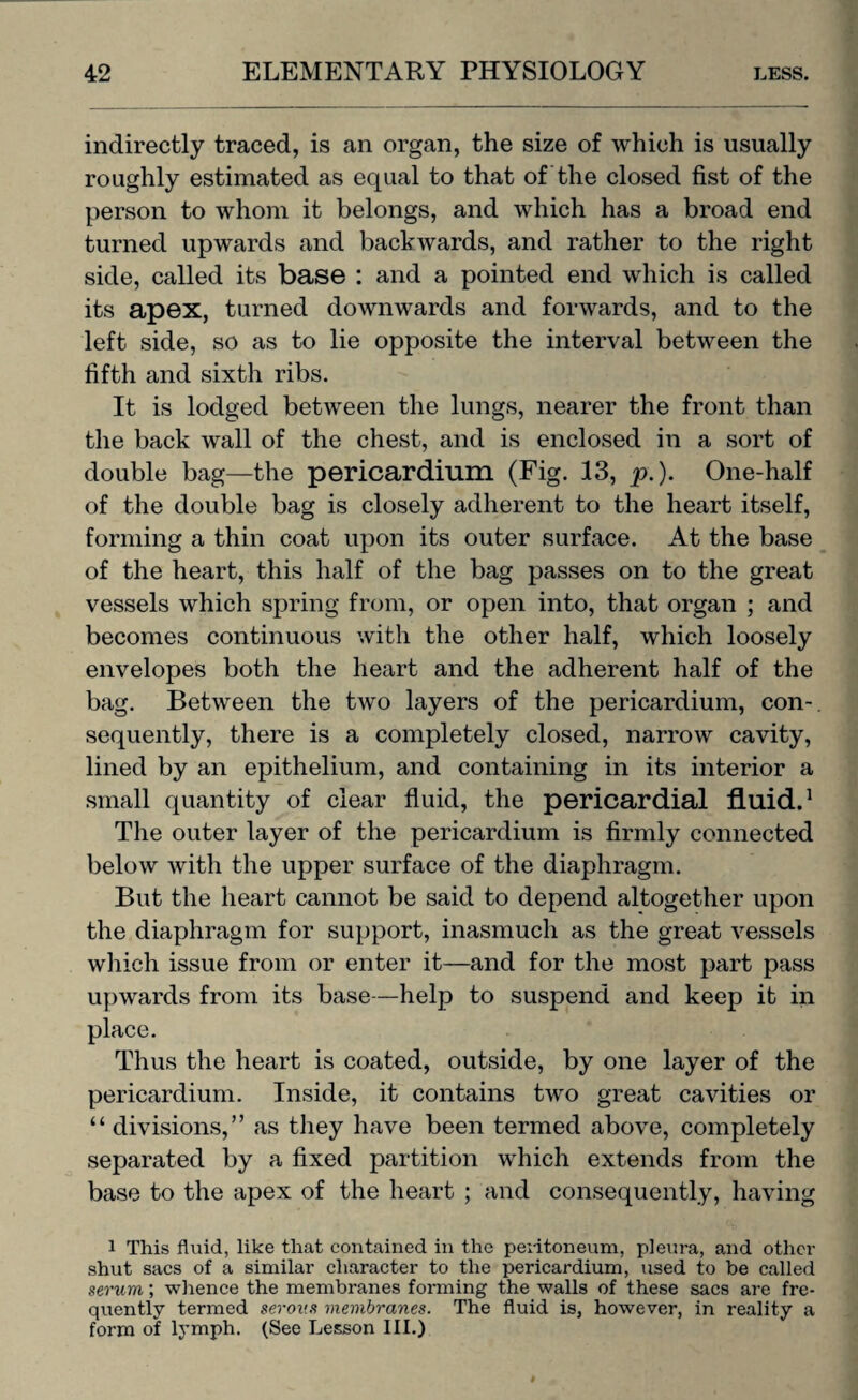 indirectly traced, is an organ, the size of which is usually roughly estimated as equal to that of the closed fist of the person to whom it belongs, and which has a broad end turned upwards and backwards, and rather to the right side, called its base : and a pointed end which is called its apex, turned downwards and forwards, and to the left side, so as to lie opposite the interval between the fifth and sixth ribs. It is lodged between the lungs, nearer the front than the back wall of the chest, and is enclosed in a sort of double bag—the pericardium (Fig. 13, p.). One-half of the double bag is closely adherent to the heart itself, forming a thin coat upon its outer surface. At the base of the heart, this half of the bag passes on to the great vessels which spring from, or open into, that organ ; and becomes continuous with the other half, which loosely envelopes both the heart and the adherent half of the bag. Between the two layers of the pericardium, con-, sequently, there is a completely closed, narrow cavity, lined by an epithelium, and containing in its interior a small quantity of clear fluid, the pericardial fluid.1 The outer layer of the pericardium is firmly connected below with the upper surface of the diaphragm. But the heart cannot be said to depend altogether upon the diaphragm for support, inasmuch as the great vessels which issue from or enter it—and for the most part pass upwards from its base—help to suspend and keep it in place. Thus the heart is coated, outside, by one layer of the pericardium. Inside, it contains two great cavities or “divisions,” as they have been termed above, completely separated by a fixed partition which extends from the base to the apex of the heart ; and consequently, having l This fluid, like that contained in the peritoneum, pleura, and other shut sacs of a similar character to the pericardium, used to be called serum,; whence the membranes forming the walls of these sacs are fre¬ quently termed serous membranes. The fluid is, however, in reality a form of lymph. (See Lesson III.)