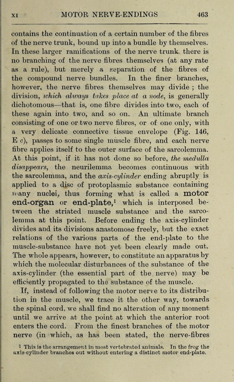 contains the continuation of a certain number of the fibres of the nerve trunk, bound up into a bundle by themselves. In these larger ramifications of the nerve trunk there is no branching of the nerve fibres themselves (at any rate as a rule), but merely a separation of the fibres of the compound nerve bundles. In the finer branches, hoAvever, the nerve fibres themselves may divide ; the division, which always takes place at a node, is generally dichotomous—that is, one fibre divides into two, each of these again into two, and so on. An ultimate branch consisting of one or two nerve fibres, or of one only, with a very delicate connective tissue envelope (Fig. 146, E c), passes to some single muscle fibre, and each nerve fibre applies itself to the outer surface of the sarcolemma. At this point, if it has not done so before, the medulla disappears, the neurilemma becomes continuous with the sarcolemma, and the axis-cylinder ending abruptly is applied to a disc of protoplasmic substance containing many nuclei., thus forming what is called a motor end-organ or end-plate,1 which is interposed be¬ tween the striated muscle substance and the sarco¬ lemma at this point. Before ending the axis-cylinder divides and its divisions anastomose freely, but the exact relations of the various parts of the end-plate to the muscle-substance have not yet been clearly made out. The whole appears, however, to constitute an apparatus by which the molecular disturbances of the substance of the axis-cylinder (the essential part of the nerve) may be efficiently propagated to the substance of the muscle. If, instead of following the motor nerve to its distribu¬ tion in the muscle, we trace it the other way, towards the spinal cord, we shall find no alteration of any moment until we arrive at the point at which the anterior root enters the cord. From the finest branches of the motor nerve (in which, as has been stated, the nerve-fibres I This is the arrangement in most vertebrated animals. In the frog the axis-cylinder branches out without entering a distinct motor end-plate.