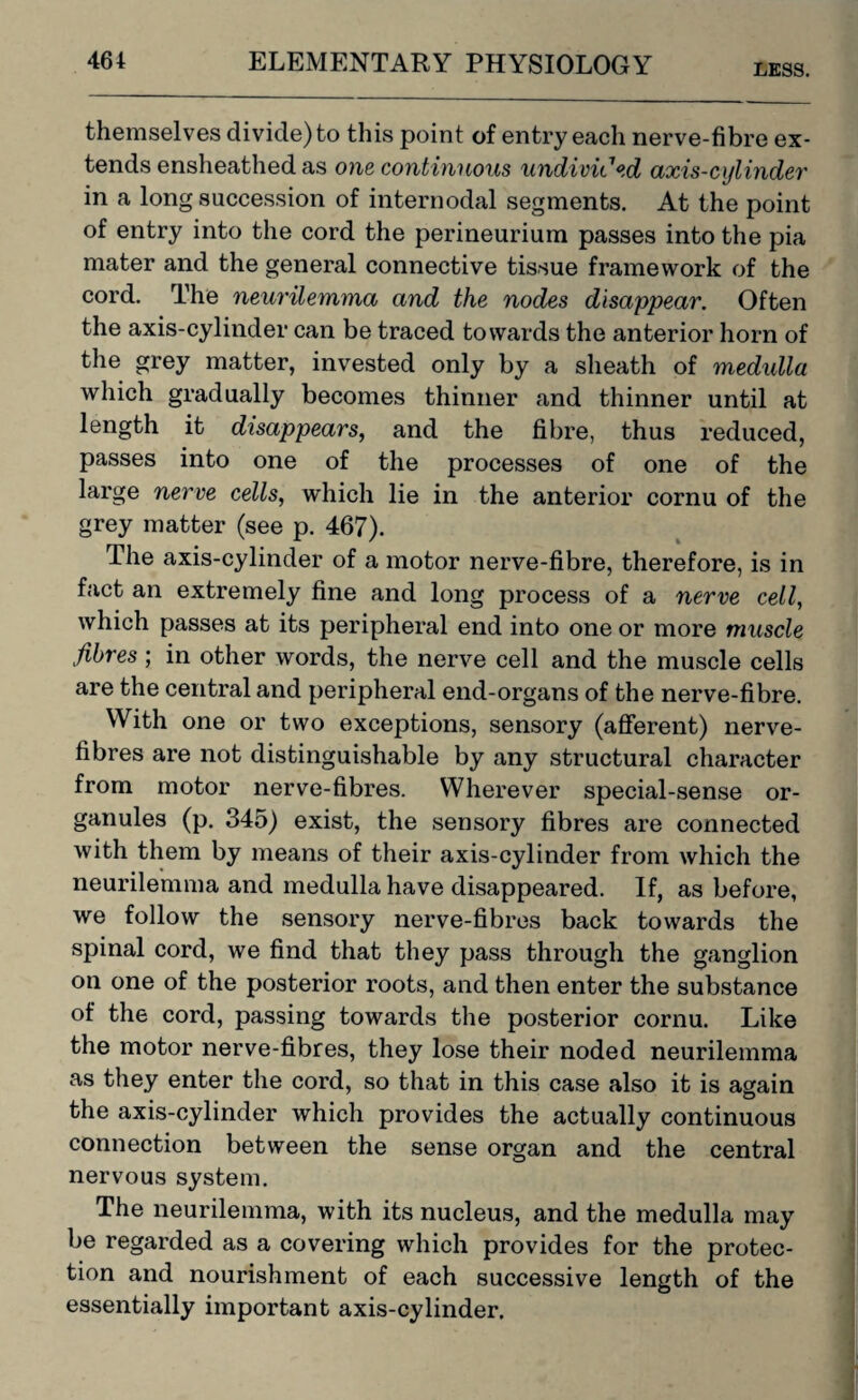 LESS. themselves divide) to this point of entry each nerve-fibre ex¬ tends ensheathed as one continuous undivided axis-cylinder in a long succession of internodal segments. At the point of entry into the cord the perineurium passes into the pia mater and the general connective tissue framework of the cord. The neurilemma and the nodes disappear. Often the axis-cylinder can be traced towards the anterior horn of the grey matter, invested only by a sheath of medulla which gradually becomes thinner and thinner until at length it disappears, and the fibre, thus reduced, passes into one of the processes of one of the large nerve cells, which lie in the anterior cornu of the grey matter (see p. 467). The axis-cylinder of a motor nerve-fibre, therefore, is in fact an extremely fine and long process of a nerve cell, which passes at its peripheral end into one or more muscle fibres ; in other words, the nerve cell and the muscle cells are the central and peripheral end-organs of the nerve-fibre. With one or two exceptions, sensory (afferent) nerve- fibres are not distinguishable by any structural character from motor nerve-fibres. Wherever special-sense or- ganules (p. 345) exist, the sensory fibres are connected with them by means of their axis-cylinder from which the neurilemma and medulla have disappeared. If, as before, we follow the sensory nerve-fibres back towards the spinal cord, we find that they pass through the ganglion on one of the posterior roots, and then enter the substance of the cord, passing towards the posterior cornu. Like the motor nerve-fibres, they lose their noded neurilemma as they enter the cord, so that in this case also it is again the axis-cylinder which provides the actually continuous connection between the sense organ and the central nervous system. The neurilemma, with its nucleus, and the medulla may be regarded as a covering which provides for the protec¬ tion and nourishment of each successive length of the essentially important axis-cylinder.