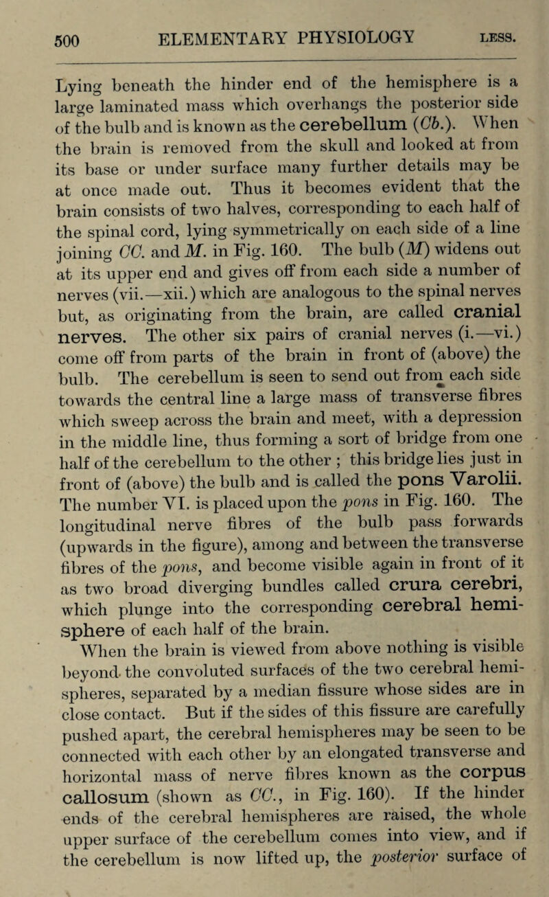 Lying beneath the hinder end of the hemisphere is a large laminated mass which overhangs the posterior side of the bulb and is known as the cerebellum (Cb.). When the brain is removed from the skull and looked at from its base or under surface many further details may be at once made out. Thus it becomes evident that the brain consists of two halves, corresponding to each half of the spinal cord, lying symmetrically on each side of a line joining CC. and M. in Fig. 160. The bulb (M) widens out at its upper end and gives off from each side a number of nerves (vii.—xii.) which are analogous to the spinal nerves but, as originating from the brain, are called cranial nerves. The other six pairs of cranial nerves (i.—vi.) come off from parts of the brain in front of (above) the bulb. The cerebellum is seen to send out from each side towards the central line a large mass of transverse fibres which sweep across the brain and meet, with a depression in the middle line, thus forming a sort of bridge from one half of the cerebellum to the other ; this bridge lies just in front of (above) the bulb and is called the pons Varolii. The number YI. is placed upon the pons in Fig. 160. The longitudinal nerve fibres of the bulb pass forwards (upwards in the figure), among and between the transverse fibres of the pons, and become visible again in front of it as two broad diverging bundles called crura cerebri, which plunge into the corresponding cerebral hemi¬ sphere of each half of the brain. When the brain is viewed from above nothing is visible beyond* the convoluted surfaces of the two cerebral hemi¬ spheres, separated by a median fissure whose sides are in close contact. But if the sides of this fissure are carefully pushed apart, the cerebral hemispheres may be seen to be connected with each other by an elongated transverse and horizontal mass of nerve fibres known as the corpus callosum (shown as GO., in Fig. 160). If the hinder ends of the cerebral hemispheres are raised, the whole upper surface of the cerebellum comes into view, and if the cerebellum is now lifted up, the posteviov surface of