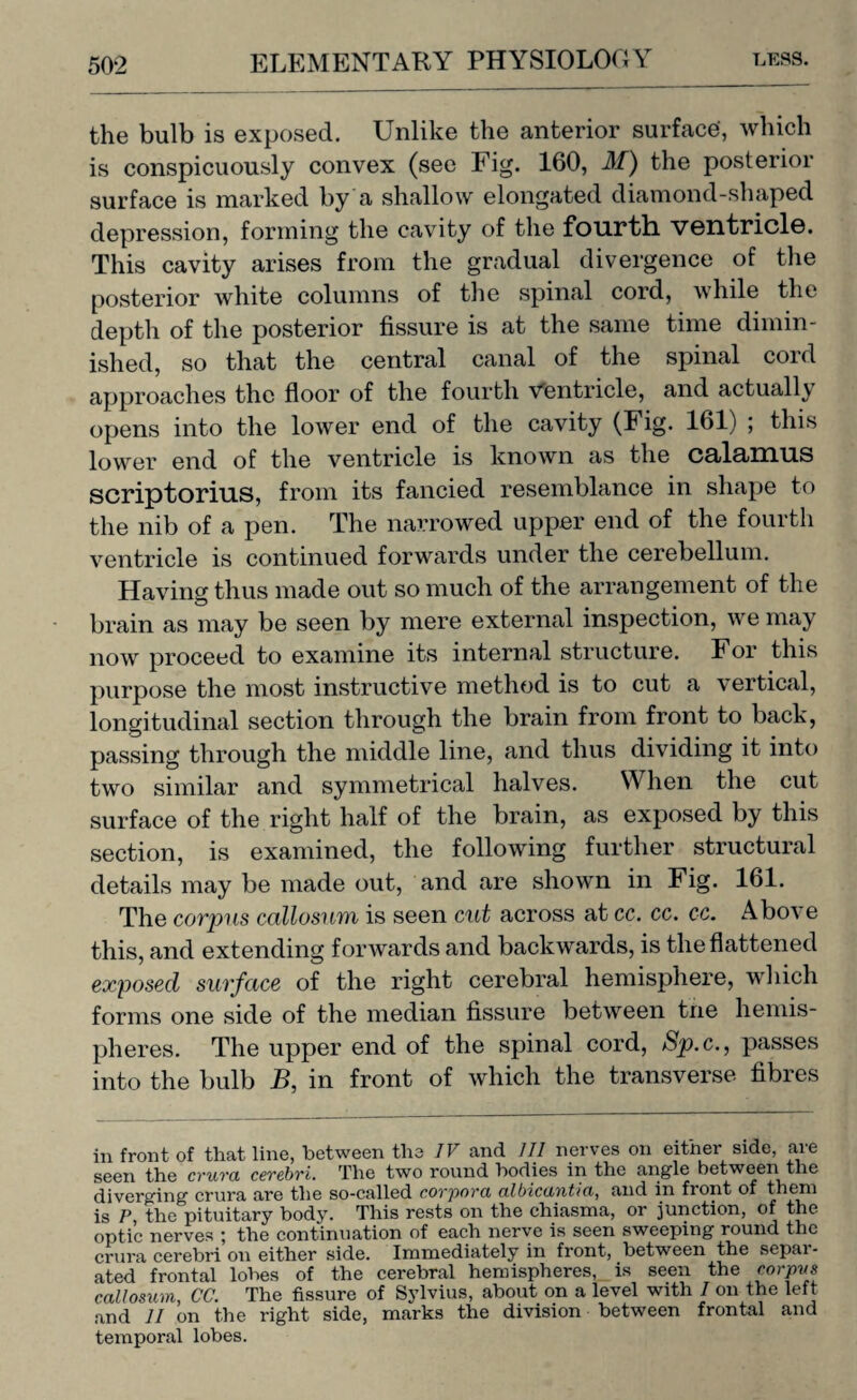 the bulb is exposed. Unlike the anterior surface', which is conspicuously convex (see Fig. 160, M) the posterior surface is marked by a shallow elongated diamond-shaped depression, forming the cavity of the fourth, ventricl©. This cavity arises from the gradual divergence of the posterior white columns of the spinal cord, while the depth of the posterior fissure is at the same time dimin¬ ished, so that the central canal of the spinal cord approaches the floor of the fourth Ventricle, and actually opens into the lower end of the cavity (Fig. 161) ; this lower end of the ventricle is known as the calamus scriptorius, from its fancied resemblance in shape to the nib of a pen. The narrowed upper end of the fourth ventricle is continued forwards under the cerebellum. Having thus made out so much of the arrangement of the brain as may be seen by mere external inspection, we may now proceed to examine its internal structure. For this purpose the most instructive method is to cut a vertical, longitudinal section through the brain from front to back, passing through the middle line, and thus dividing it into two similar and symmetrical halves. When the cut surface of the right half of the brain, as exposed by this section, is examined, the following further structural details may be made out, and are shown in Fig. 161. The corpus callosum is seen cut across at cc. cc. cc. Above this, and extending forwards and backwards, is the flattened exposed surface of the right cerebral hemisphere, which forms one side of the median fissure between trie hemis¬ pheres. The upper end of the spinal cord, Sp.c., passes into the bulb B, in front of which the transverse fibres in front of that line, between the IV and III nerves on either side, are seen the crura cerebri. The two round bodies in the angle between the diverging crura are the so-called corpora albicantia, and in front of thern is P the pituitary body. This rests on the chiasma, or junction, of the optic nerves ; the continuation of each nerve is seen sweeping round the crura cerebri on either side. Immediately in front, between the sepai - ated frontal lobes of the cerebral hemispheres, is seen the corpus callosum, CC. The fissure of Sylvius, about on a level with I on the left and II on the right side, marks the division between frontal and temporal lobes.