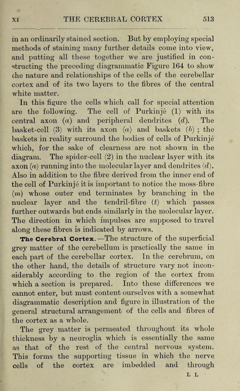 in an ordinarily stained section. But by employing special methods of staining many further details come into view, and putting all these together we are justified in con¬ structing the preceding diagrammatic Figure 164 to show ohe nature and relationships of the cells of the cerebellar cortex and of its two layers to the fibres of the central white matter. In this figure the cells which call for special attention are the following. The cell of Purkinje (1) with its central axon (a) and peripheral dendrites (d). The basket-cell (3) with its axon (a) and baskets (b) ; the baskets in reality surround the bodies of cells of Purkinje which, for the sake of clearness are not shown in the diagram. The spider-cell (2) in the nuclear layer with its axon (a) running into the molecular layer and dendrites (d). Also in addition to the fibre derived from the inner end of the cell of Purkinje it is important to notice the moss-fibre (m) whose outer end terminates by branching in the nuclear layer and the tendril-fibre (t) which passes further outwards but ends similarly in the molecular layer. The direction in which impulses are supposed to travel along these fibres is indicated by arrows. The Cerebral Cortex.—The structure of the superficial grey matter of the cerebellum is practically the same in each part of the cerebellar cortex. In the cerebrum, on the other hand, the details of structure vary not incon¬ siderably according to the region of the cortex from which a section is prepared. Into these differences we cannot enter, but must content ourselves with a somewhat diagrammatic description and figure in illustration of the general structural arrangement of the cells and fibres of the cortex as a whole. The grey matter is permeated throughout its whole thickness by a neuroglia which is essentially the same as that of the rest of the central nervous system. This forms the supporting tissue in which the nerve cells of the cortex are imbedded and through L L