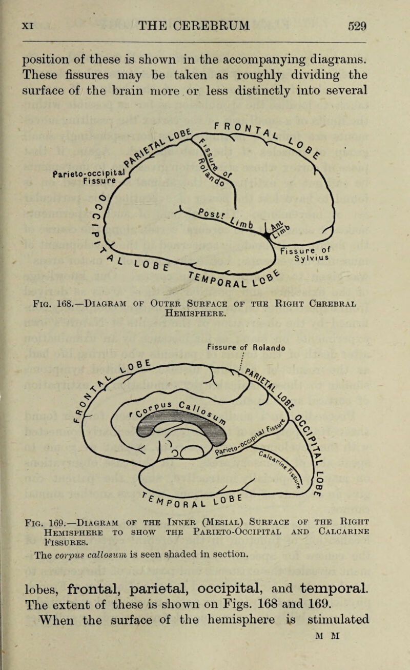 position of these is shown in the accompanying diagrams. These fissures may be taken as roughly dividing the surface of the brain more or less distinctly into several Sy Tekiporal lC* Fig. 168.—Diagram of Outer Surface of the Right Cerebral Hemisphere. Parieto-occipita.1 Fissure Fissure of Rolando Fig. 169.—Diagram of the Inner (Mesial) Surface of the Right Hemisphere to show the Parieto-Occipital and Calcarine Fissures. The corpus callosum is seen shaded in section. lobes, frontal, parietal, occipital, and temporal. The extent of these is shown on Figs. 168 and 169. When the surface of the hemisphere is stimulated M M