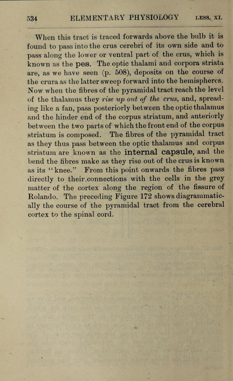 When this tract is traced forwards above the bulb it is found to pass into the crus cerebri of its own side and to pass along the lower or ventral part of the crus, which is known as the pes. The optic thalami and corpora striata are, as we have seen (p. 508), deposits on the course of the crura as the latter sweep forward into the hemispheres. Now when the fibres of the pyramidal tract reach the level of the thalamus they rise up out of the crus, and, spread¬ ing like a fan, pass posteriorly between the optic thalamus and the hinder end of the corpus striatum, and anteriorly between the two parts of which the front end of the corpus striatum is composed. The fibres of the pyramidal tract as they thus pass between the optic thalamus and corpus striatum are known as the internal capsule, and the bend the fibres make as they rise out of the crus is known as its “knee.” From this point onwards the fibres pass directly to their.connections with the cells in the grey matter of the cortex along the region of the fissure of Rolando. The preceding Figure 172 shows diagrammatic- ally the course of the pyramidal tract from the cerebral cortex to the spinal cord.