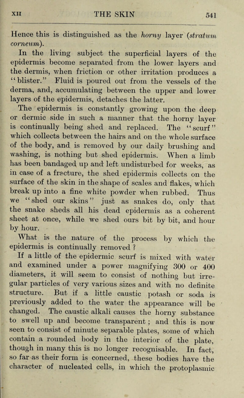 Hence this is distinguished as the horny layer {stratum corneum). In the living subject the superficial layers of the epidermis become separated from the lower layers and the dermis, when friction or other irritation produces a “blister.” Fluid is poured out from the vessels of the derma, and, accumulating between the upper and lower layers of the epidermis, detaches the latter. The epidermis is constantly growing upon the deep or dermic side in such a manner that the horny layer is continually being shed and replaced. The “scurf” which collects between the hairs and on the whole surface of the body, and is removed by our daily brushing and washing, is nothing but shed epidermis. When a limb has been bandaged up and left undisturbed for weeks, as in case of a fracture, the shed epidermis collects on the surface of the skin in the shape of scales and flakes, which break up into a fine white powder when rubbed. Thus we “shed our skins” just as snakes do, only that the snake sheds all his dead epidermis as a coherent sheet at once, while we shed ours bit by bit, and hour by hour. What is the nature of the process by which the epidermis is continually removed ? If a little of the epidermic scurf is mixed with water and examined under a power magnifying 300 or 400 diameters, it will seem to consist of nothing but irre¬ gular particles of very various sizes and with no definite structure. But if a little caustic potash or soda is previously added to the water the appearance will be changed. The caustic alkali causes the horny substance to swell up and become transparent; and this is now seen to consist of minute separable plates, some of which contain a rounded body in the interior of the plate, though in many this is no longer recognisable. In fact, so far as their form is concerned, these bodies have the character of nucleated cells, in which the protoplasmic