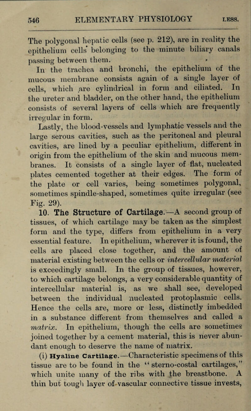 The polygonal hepatic cells (see p. 212), are in reality the epithelium cells* belonging to the minute biliary canals passing between them. In the trachea and bronchi, the epithelium of the mucous membrane consists again of a single layer of cells, which are cylindrical in form and ciliated. In the ureter and bladder, on the other hand, the epithelium consists of several layers of cells which are frequently irregular in form. Lastly, the blood-vessels and lymphatic vessels and the large serous cavities, such as the peritoneal and pleural cavities, are lined by a peculiar epithelium, different in origin from the epithelium of the skin and mucous mem¬ branes. It consists of a single layer of flat, nucleated plates cemented together at their edges. The form of the plate or cell varies, being sometimes polygonal, sometimes spindle-shaped, sometimes quite irregular (see Fig. 29). 10. The Structure of Cartilage.—A second group of tissues, of which cartilage may be taken as the simplest form and the type, differs from epithelium in a very essential feature. In epithelium, wherever it is found, the cells are placed close together, and the amount of material existing between the cells or intercellular material is exceedingly small. In the group of tissues, however, to which cartilage belongs, a very considerable quantity of intercellular material is, as we shall see, developed between the individual nucleated protoplasmic cells. Hence the cells are, more or less, distinctly imbedded in a substance different from themselves and called a matrix. In epithelium, though the cells are sometimes joined together by a cement material, this is never abun¬ dant enough to deserve the name of matrix. (i) Hyaline Cartilage.—Characteristic specimens of this tissue are to be found in the “ sterno-costal cartilages,” which unite many of the ribs with the breastbone. A thin but tough layer of vascular connective tissue invests,