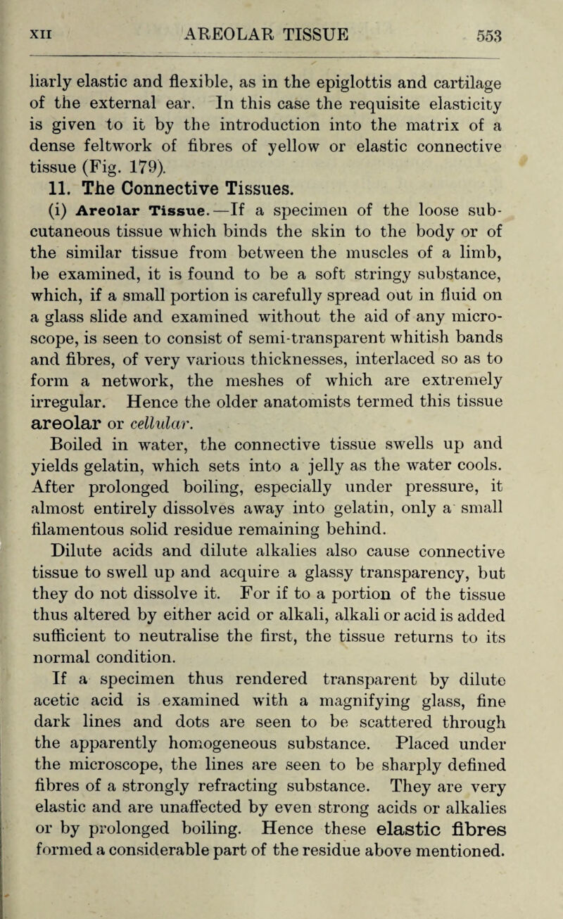 liarly elastic and flexible, as in the epiglottis and cartilage of the external ear. In this case the requisite elasticity is given to it by the introduction into the matrix of a dense feltwork of fibres of yellow or elastic connective tissue (Fig. 179). 11. The Connective Tissues. (i) Areolar Tissue.—If a specimen of the loose sub¬ cutaneous tissue which binds the skin to the body or of the similar tissue from between the muscles of a limb, be examined, it is found to be a soft stringy substance, which, if a small portion is carefully spread out in fluid on a glass slide and examined without the aid of any micro¬ scope, is seen to consist of semi-transparent whitish bands and fibres, of very various thicknesses, interlaced so as to form a network, the meshes of which are extremely irregular. Hence the older anatomists termed this tissue areolar or cellular. Boiled in water, the connective tissue swells up and yields gelatin, which sets into a jelly as the water cools. After prolonged boiling, especially under pressure, it almost entirely dissolves away into gelatin, only a small filamentous solid residue remaining behind. Dilute acids and dilute alkalies also cause connective tissue to swell up and acquire a glassy transparency, but they do not dissolve it. For if to a portion of the tissue thus altered by either acid or alkali, alkali or acid is added sufficient to neutralise the first, the tissue returns to its normal condition. If a specimen thus rendered transparent by dilute acetic acid is examined with a magnifying glass, fine dark lines and dots are seen to be scattered through the apparently homogeneous substance. Placed under the microscope, the lines are seen to be sharply defined fibres of a strongly refracting substance. They are very elastic and are unaffected by even strong acids or alkalies or by prolonged boiling. Hence these elastic fibres formed a considerable part of the residue above mentioned.