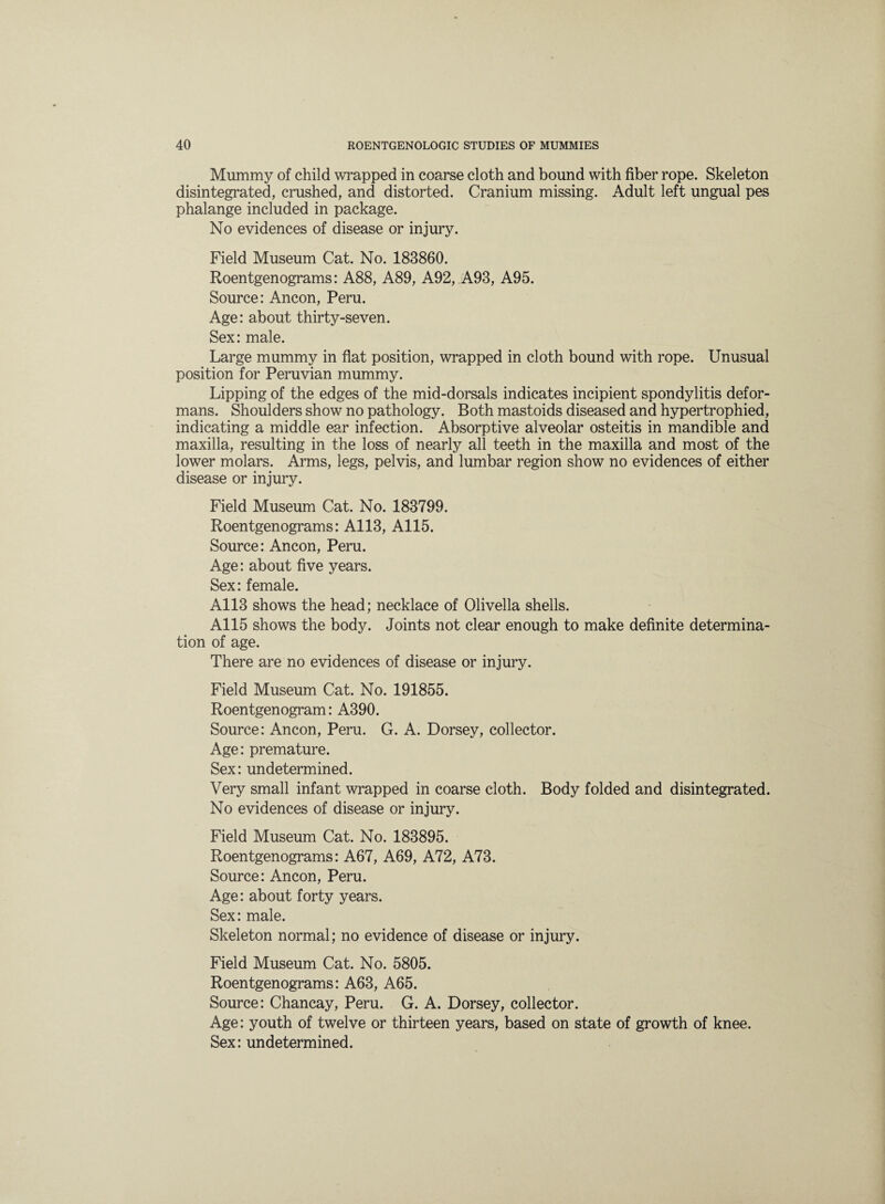 Mummy of child wrapped in coarse cloth and bound with fiber rope. Skeleton disintegrated, crushed, and distorted. Cranium missing. Adult left ungual pes phalange included in package. No evidences of disease or injury. Field Museum Cat. No. 183860. Roentgenograms: A88, A89, A92, A93, A95. Source: Ancon, Peru. Age: about thirty-seven. Sex: male. Large mummy in flat position, wrapped in cloth bound with rope. Unusual position for Peruvian mummy. Lipping of the edges of the mid-dorsals indicates incipient spondylitis defor¬ mans. Shoulders show no pathology. Both mastoids diseased and hypertrophied, indicating a middle ear infection. Absorptive alveolar osteitis in mandible and maxilla, resulting in the loss of nearly all teeth in the maxilla and most of the lower molars. Arms, legs, pelvis, and lumbar region show no evidences of either disease or injury. Field Museum Cat. No. 183799. Roentgenograms: A113, A115. Source: Ancon, Peru. Age: about five years. Sex: female. A113 shows the head; necklace of Olivella shells. A115 shows the body. Joints not clear enough to make definite determina¬ tion of age. There are no evidences of disease or injury. Field Museum Cat. No. 191855. Roentgenogram: A390. Source: Ancon, Peru. G. A. Dorsey, collector. Age: premature. Sex: undetermined. Very small infant wrapped in coarse cloth. Body folded and disintegrated. No evidences of disease or injury. Field Museum Cat. No. 183895. Roentgenograms: A67, A69, A72, A73. Source: Ancon, Peru. Age: about forty years. Sex: male. Skeleton normal; no evidence of disease or injury. Field Museum Cat. No. 5805. Roentgenograms: A63, A65. Source: Chancay, Peru. G. A. Dorsey, collector. Age: youth of twelve or thirteen years, based on state of growth of knee.