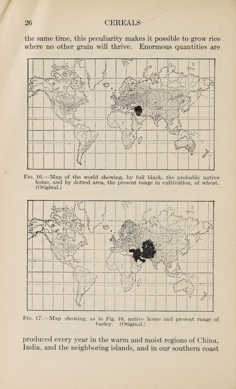 the same time, this peculiarity makes it possible to grow rice where no other grain will thrive. Enormous quantities are Fig. 16.—Map of the world showing, by full black, the probable native home, and by dotted area, the present range in cultivation, of wheat. (Original.) Fig. 17.—Map showing, as in Fig. 16, native home and present range of barley. (Original.) produced every year in the warm and moist regions of China, India, and the neighboring islands, and. in our southern coast