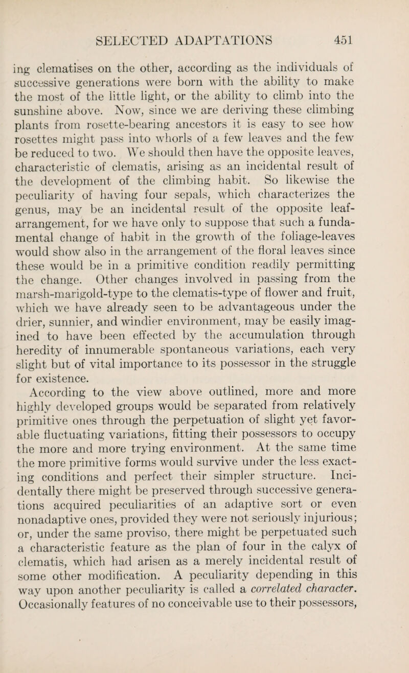 ing clematises on the other, according as the individuals of successive generations were born with the ability to make the most of the little light, or the ability to climb into the sunshine above. Now, since we are deriving these climbing plants from rosette-bearing ancestors it is easy to see how rosettes might pass into whorls of a few leaves and the few be reduced to two. We should then have the opposite leaves, characteristic of clematis, arising as an incidental result of the development of the climbing habit. So likewise the peculiarity of having four sepals, which characterizes the genus, may be an incidental result of the opposite leaf- arrangement, for we have only to suppose that such a funda¬ mental change of habit in the growth of the foliage-leaves would show also in the arrangement of the floral leaves since these would be in a primitive condition readily permitting the change. Other changes involved in passing from the marsh-marigold-type to the clematis-type of flower and fruit, which we have already seen to be advantageous under the drier, sunnier, and windier environment, may be easily imag¬ ined to have been effected by the accumulation through heredity of innumerable spontaneous variations, each very slight but of vital importance to its possessor in the struggle for existence. According to the view above outlined, more and more highly developed groups would be separated from relatively primitive ones through the perpetuation of slight yet favor¬ able fluctuating variations, fitting their possessors to occupy the more and more trying environment. At the same time the more primitive forms would survive under the less exact¬ ing conditions and perfect their simpler structure. Inci¬ dentally there might be preserved through successive genera¬ tions acquired peculiarities of an adaptive sort or even nonadaptive ones, provided they were not seriously injurious; or, under the same proviso, there might be perpetuated such a characteristic feature as the plan of four in the calyx of clematis, which had arisen as a merely incidental result of some other modification. A peculiarity depending in this way upon another peculiarity is called a correlated character. Occasionally features of no conceivable use to their possessors,