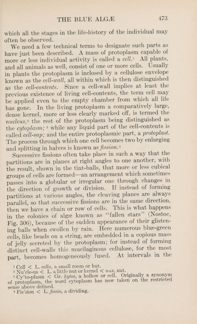 which all the stages in the life-history of the individual may often be observed. We need a few technical terms to designate such parts as have just been described. A mass of protoplasm capable of more or less individual activity is called a cell.1 All plants, and all animals as well, consist of one or more cells. Usually in plants the protoplasm is inclosed by a cellulose envelope known as the cell-wall, all within which is then distinguished as the cell-contents. Since a cell-wall implies at least the previous existence of living cell-contents, the term cell may be applied even to the empty chamber from which all life has gone. In the living protoplasm a comparatively large, dense kernel, more or less clearly marked off, is termed the nucleus,2 3 4 the rest of the protoplasm being distinguished as the cytoplasm;3 while any liquid part of the cell-contents is called cell-sap; and the entire protoplasmic part, a protoplast. The process through which one cell becomes two by enlarging and splitting in halves is known as fission.* Successive fissions often take place in such a way that the partitions are in planes at right angles to one another, with the result, shown in the tint-balls, that more or less cubical groups of cells are formed—an arrangement which sometimes passes into a globular or irregular one through changes in the direction of growth or division. If instead of forming partitions at various angles, the cleaving planes are always parallel, so that successive fissions are in the same direction, then we have a chain or row of cells. 4 his is what happens in the colonies of algae known as ‘‘fallen stars” (Nostoc, Fig. 306), because of the sudden appearance of their glisten¬ ing balls when swollen by rain. Here numerous blue-green cells, like beads on a string, are embedded in a copious mass of jelly secreted by the protoplasm] for instead of forming distinct cell-walls this mucilaginous cellulose, for the most part, becomes homogeneously fused. At intervals in the 1 Cell < L. cella, a small room or hut. 2 Nu'cle-us < L. a little nut or kernel < nux. nut. > 3 Cv'to-plasm < Gr. kytos, a hollow or cell. Originally a synonym of protoplasm, the word cytoplasm has now taken on the restricted sense above defined. 4 Fis'sion < L. fissio, a dividing.