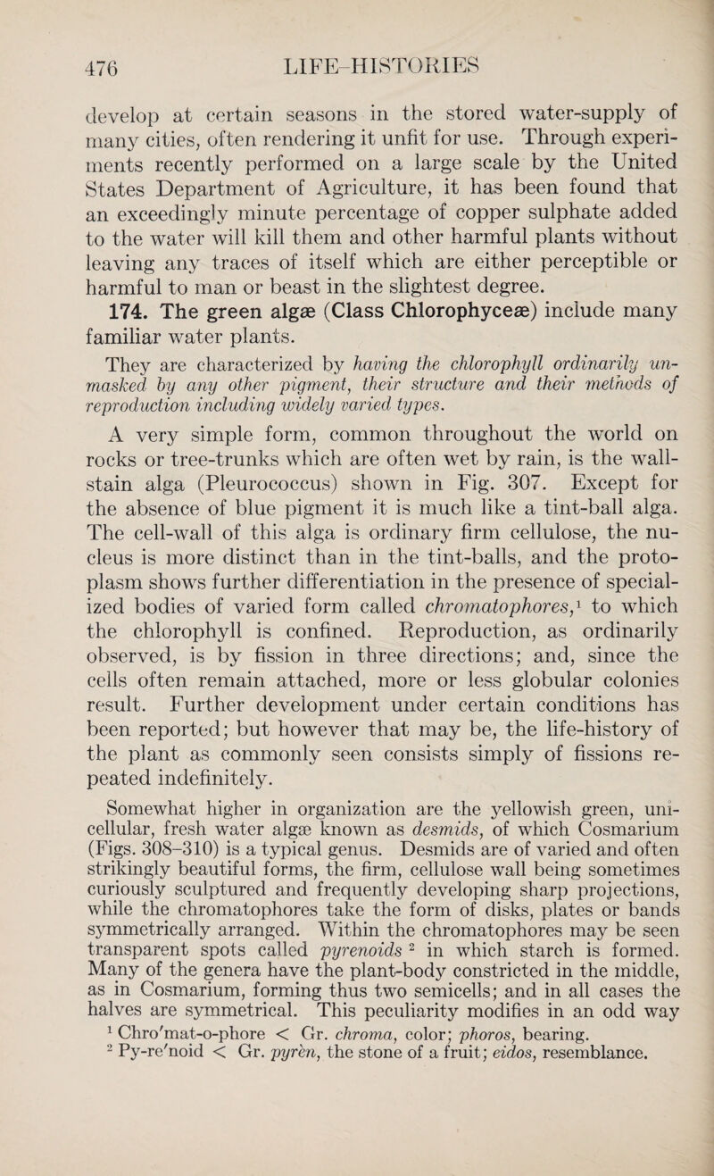 develop at certain seasons in the stored water-supply of many cities, often rendering it unfit for use. Through experi¬ ments recently performed on a large scale by the United States Department of Agriculture, it has been found that an exceedingly minute percentage of copper sulphate added to the water will kill them and other harmful plants without leaving any traces of itself which are either perceptible or harmful to man or beast in the slightest degree. 174. The green algae (Class Chlorophyceae) include many familiar water plants. They are characterized by having the chlorophyll ordinarily un¬ masked by any other pigment, their structure and their methods of reproduction including widely varied types. A very simple form, common throughout the world on rocks or tree-trunks which are often wet by rain, is the wall- stain alga (Pleurococcus) shown in Fig. 307. Except for the absence of blue pigment it is much like a tint-ball alga. The cell-wall of this alga is ordinary firm cellulose, the nu¬ cleus is more distinct than in the tint-balls, and the proto¬ plasm shows further differentiation in the presence of special¬ ized bodies of varied form called chromatophores,1 to which the chlorophyll is confined. Reproduction, as ordinarily observed, is by fission in three directions; and, since the cells often remain attached, more or less globular colonies result. Further development under certain conditions has been reported; but however that may be, the life-history of the plant as commonly seen consists simply of fissions re¬ peated indefinitely. Somewhat higher in organization are the yellowish green, uni¬ cellular, fresh wTater algae known as desmids, of which Cosmarium (Figs. 308-310) is a typical genus. Desmids are of varied and often strikingly beautiful forms, the firm, cellulose wall being sometimes curiously sculptured and frequently developing sharp projections, while the chromatophores take the form of disks, plates or bands symmetrically arranged. Within the chromatophores may be seen transparent spots called pyrenoids 2 in which starch is formed. Many of the genera have the plant-body constricted in the middle, as in Cosmarium, forming thus two semicells; and in all cases the halves are symmetrical. This peculiarity modifies in an odd way 1 Chro'mat-o-phore < Gr. chroma, color; phoros, bearing. 2 Py-re'noid < Gr. pyren, the stone of a fruit; eidos, resemblance.