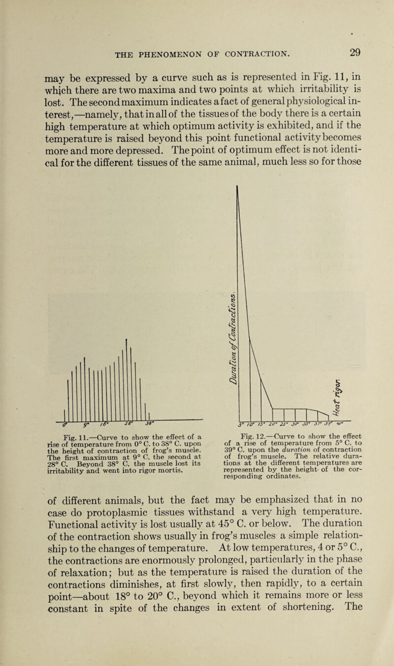 may be expressed by a curve such as is represented in Fig. 11, in which there are two maxima and two points at which irritability is lost. The second maximum indicates a fact of general physiological in¬ terest,—namely, that in all of the tissues of the body there is a certain high temperature at which optimum activity is exhibited, and if the temperature is raised beyond this point functional activity becomes more and more depressed. The point of optimum effect is not identi¬ cal for the different tissues of the same animal, much less so for those Fig. 11.—Curve to show the effect of a rise of temperature from 0° C. to 38° C. upon the height of contraction of frog's muscle. The first maximum at 9° C, the second at 28° C. Beyond 38° C. the muscle lost its irritability and went into rigor mortis. Fig. 12.—Curve to show the effect of a rise of temperature from 5° C. to 39° C. upon the duration of contraction of frog’s muscle. The relative dura¬ tions at the different temperatures are represented by the height of the cor¬ responding ordinates. of different animals, but the fact may be emphasized that in no case do protoplasmic tissues withstand a very high temperature. Functional activity is lost usually at 45° C. or below. The duration of the contraction shows usually in frog’s muscles a simple relation¬ ship to the changes of temperature. At low temperatures, 4 or 5° C., the contractions are enormously prolonged, particularly in the phase of relaxation; but as the temperature is raised the duration of the contractions diminishes, at first slowly, then rapidly, to a certain point—about 18° to 20° C., beyond which it remains more or less constant in spite of the changes in extent of shortening. The