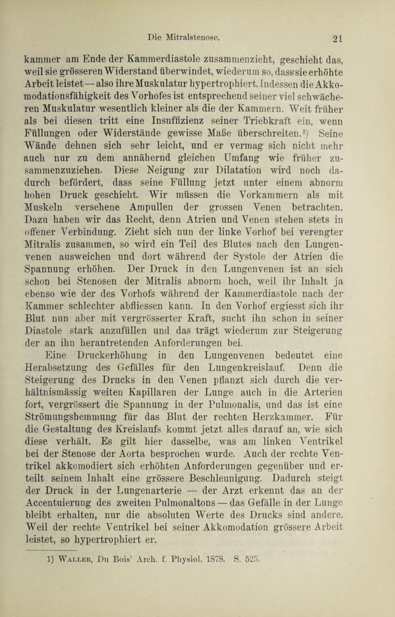 kammer am Ende der Kammerdiastole zusammenzieht, geschieht das, weil sie grösseren Widerstand überwindet, wiederum so, dass sie erhöhte Arbeit leistet—also ihre Muskulatur hypertrophiert. Indessen die Akko¬ modationsfähigkeit des Vorhofes ist entsprechend seiner viel schwäche¬ ren Muskulatur wesentlich kleiner als die der Kammern. Weit früher als bei diesen tritt eine Insuffizienz seiner Triebkraft ein, wenn Füllungen oder Widerstände gewisse Maße überschreiten.1) Seine Wände dehnen sich sehr leicht, und er vermag sich nicht mehr auch nur zu dem annähernd gleichen Umfang wie früher zu¬ sammenzuziehen. Diese Neigung zur Dilatation wird noch da¬ durch befördert, dass seine Füllung jetzt unter einem abnorm hohen Druck geschieht. Wir müssen die Vorkammern als mit Muskeln versehene Ampullen der grossen Venen betrachten. Dazu haben wir das Recht, denn Atrien und Venen stehen stets in offener Verbindung. Zieht sich nun der linke Vorhof bei verengter Mitralis zusammen, so wird ein Teil des Blutes nach den Lungen¬ venen ausweichen und dort während der Systole der Atrien die Spannung erhöhen. Der Druck in den Lungenvenen ist an sich schon bei Stenosen der Mitralis abnorm hoch, weil ihr Inhalt ja ebenso wie der des Vorhofs während der Kammerdiastole nach der Kammer schlechter abfliessen kann. In den Vorhof ergiesst sich ihr Blut nun aber mit vergrösserter Kraft, sucht ihn schon in seiner Diastole stark anzufüllen und das trägt wiederum zur Steigerung der an ihn herantretenden Anforderungen bei. Eine Druckerhöhung in den Lungenvenen bedeutet eine Herabsetzung des Gefälles für den Lungenkreislauf. Denn die Steigerung des Drucks in den Venen pflanzt sich durch die ver¬ hältnismässig weiten Kapillaren der Lunge auch in die Arterien fort, vergrössert die Spannung in der Pulmonalis, und das ist eine Strömungshemmung für das Blut der rechten Herzkammer. Für die Gestaltung des Kreislaufs kommt jetzt alles darauf an, wie sich diese verhält. Es gilt hier dasselbe, was am linken Ventrikel bei der Stenose der Aorta besprochen wurde. Auch der rechte Ven¬ trikel akkomodiert sich erhöhten Anforderungen gegenüber und er¬ teilt seinem Inhalt eine grössere Beschleunigung. Dadurch steigt der Druck in der Lungenarterie — der Arzt erkennt das an der Accentuierung des zweiten Pulmonaltons — das Gefälle in der Lunge bleibt erhalten, nur die absoluten Werte des Drucks sind andere. Weil der rechte Ventrikel bei seiner Akkomodation grössere Arbeit leistet, so hypertrophiert er. 1) Waller, Du Bois’ Arch. f. Physiol. 1878. S. 525.