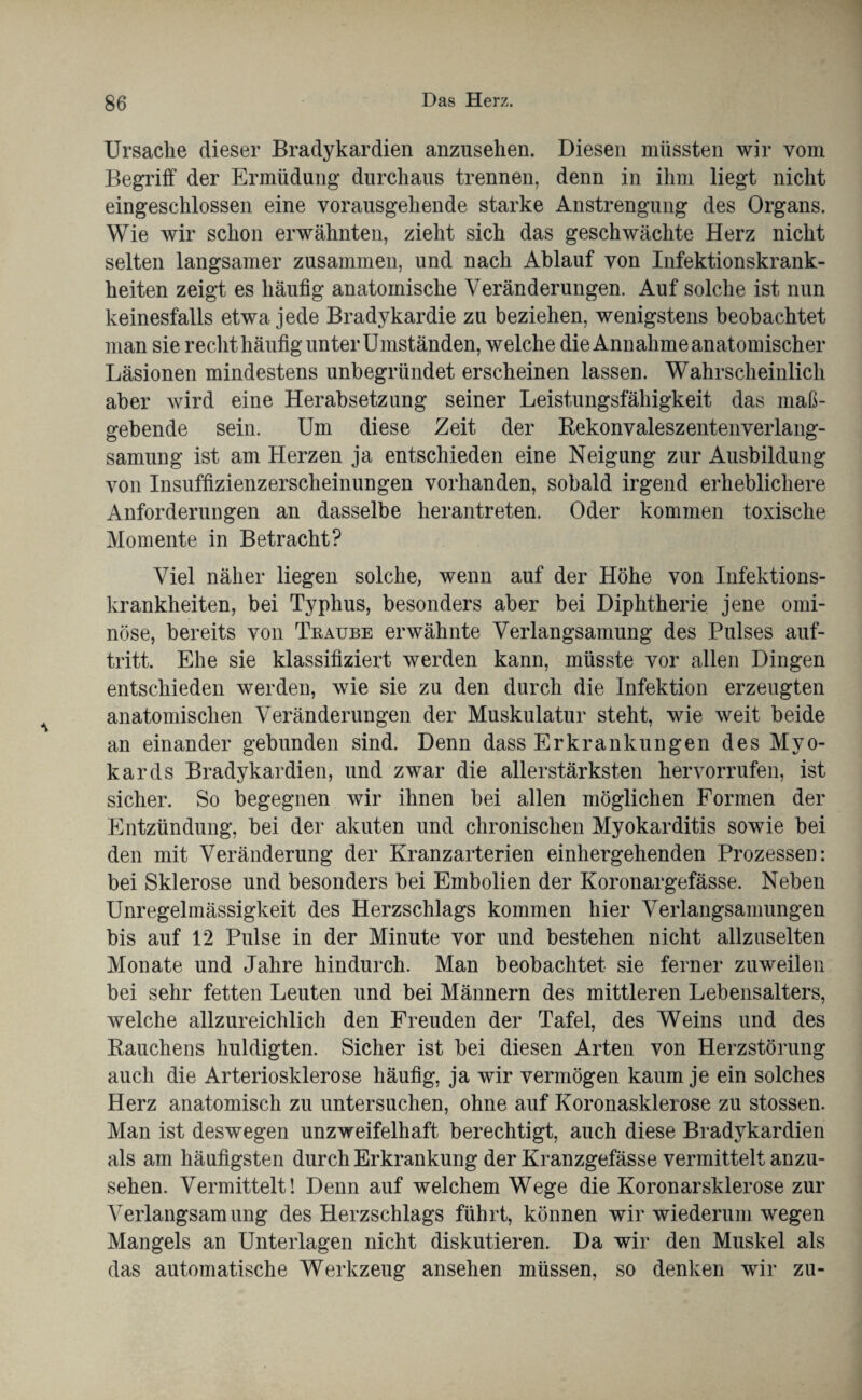 Ursache dieser Bradykardien anzusehen. Diesen müssten wir vom Begriff der Ermüdung durchaus trennen, denn in ihm liegt nicht eingeschlossen eine vorausgehende starke Anstrengung des Organs. Wie wir schon erwähnten, zieht sich das geschwächte Herz nicht selten langsamer zusammen, und nach Ablauf von Infektionskrank¬ heiten zeigt es häufig anatomische Veränderungen. Auf solche ist nun keinesfalls etwa jede Bradykardie zu beziehen, wenigstens beobachtet man sie recht häufig unter Umständen, welche die Annahme anatomischer Läsionen mindestens unbegründet erscheinen lassen. Wahrscheinlich aber wird eine Herabsetzung seiner Leistungsfähigkeit das maß¬ gebende sein. Um diese Zeit der Rekonvaleszentenverlang¬ samung ist am Herzen ja entschieden eine Neigung zur Ausbildung von Insuffizienzerscheinungen vorhanden, sobald irgend erheblichere Anforderungen an dasselbe herantreten. Oder kommen toxische Momente in Betracht? Viel näher liegen solche, wenn auf der Höhe von Infektions¬ krankheiten, bei Typhus, besonders aber bei Diphtherie jene omi¬ nöse, bereits von Traube erwähnte Verlangsamung des Pulses auf- tritt. Ehe sie klassifiziert werden kann, müsste vor allen Dingen entschieden werden, wie sie zu den durch die Infektion erzeugten anatomischen Veränderungen der Muskulatur steht, wie weit beide an einander gebunden sind. Denn dass Erkrankungen des Myo¬ kards Bradykardien, und zwar die allerstärksten hervorrufen, ist sicher. So begegnen wir ihnen bei allen möglichen Formen der Entzündung, bei der akuten und chronischen Myokarditis sowie bei den mit Veränderung der Kranzarterien einhergehenden Prozessen: bei Sklerose und besonders bei Embolien der Koronargefässe. Neben Unregelmässigkeit des Herzschlags kommen hier Verlangsamungen bis auf 12 Pulse in der Minute vor und bestehen nicht allzuselten Monate und Jahre hindurch. Man beobachtet sie ferner zuweilen bei sehr fetten Leuten und bei Männern des mittleren Lebensalters, welche allzureichlich den Freuden der Tafel, des Weins und des Rauchens huldigten. Sicher ist bei diesen Arten von Herzstörung auch die Arteriosklerose häufig, ja wir vermögen kaum je ein solches Herz anatomisch zu untersuchen, ohne auf Koronasklerose zu stossen. Man ist deswegen unzweifelhaft berechtigt, auch diese Bradykardien als am häufigsten durch Erkrankung der Kranzgefässe vermittelt anzu¬ sehen. Vermittelt! Denn auf welchem Wege die Koronarsklerose zur Verlangsamung des Herzschlags führt, können wir wiederum wegen Mangels an Unterlagen nicht diskutieren. Da wir den Muskel als das automatische Werkzeug ansehen müssen, so denken wir zu-