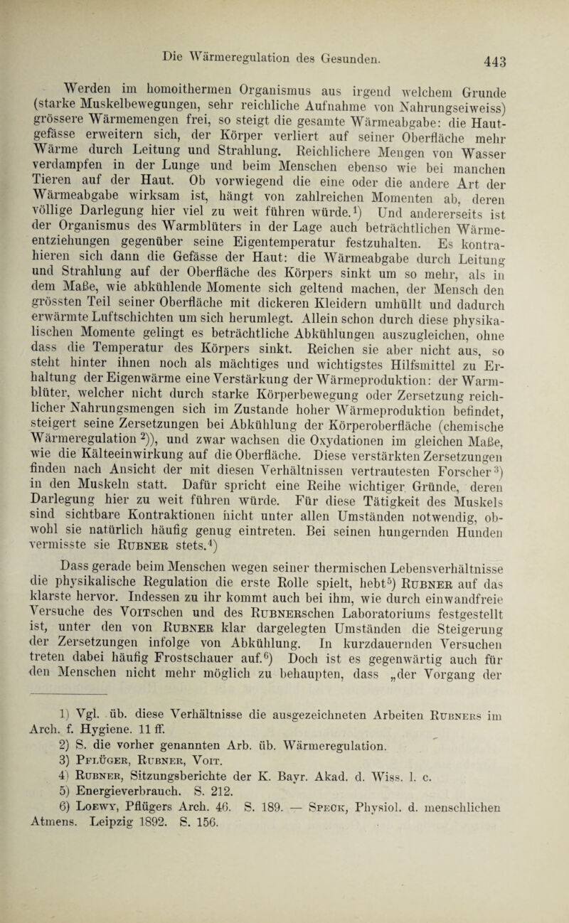 Die Wärmeregulation des Gesunden. Werden im homoithermen Organismus aus irgend welchem Grunde (starke Muskelbewegungen, sehr reichliche Aufnahme von Nahrungseiweiss) grössere Wärmemengen frei, so steigt die gesamte Wärmeabgabe: die Haut- gefässe erweitern sich, der Körper verliert auf seiner Oberfläche mehr Wärme durch Leitung und Strahlung. Reichlichere Mengen von Wasser verdampfen in der Lunge und beim Menschen ebenso wie bei manchen Tieren auf der Haut, Ob vorwiegend die eine oder die andere Art der Wärmeabgabe wirksam ist, hängt von zahlreichen Momenten ab. deren völlige Darlegung hier viel zu weit führen würde.1) Und andererseits ist der Organismus des Warmblüters in der Lage auch beträchtlichen Wärme¬ entziehungen gegenüber seine Eigentemperatur festzuhalten. Es kontra¬ hieren sich dann die Gefässe der Haut: die Wärmeabgabe durch Leitung und Strahlung auf der Oberfläche des Körpers sinkt um so mehr, als in dem Maße, wie abkühlende Momente sich geltend machen, der Mensch den grössten Teil seiner Oberfläche mit dickeren Kleidern umhüllt und dadurch erwärmte Luftschichten um sich herumlegt. Allein schon durch diese physika¬ lischen Momente gelingt es beträchtliche Abkühlungen auszugleichen, ohne dass die Temperatur des Körpers sinkt, Reichen sie aber nicht aus, so steht hinter ihnen noch als mächtiges und wichtigstes Hilfsmittel zu Er¬ haltung der Eigenwärme eine Verstärkung der Wärmeproduktion: der Warm¬ blüter, welcher nicht durch starke Körperbewegung oder Zersetzung reich¬ licher Nahrungsmengen sich im Zustande hoher Wärmeproduktion befindet, steigert seine Zersetzungen bei Abkühlung der Körperoberfläche (chemische Wärmeregulation2)), und zwar wachsen die Oxydationen im gleichen Maße, wie die Kälteeinwirkung auf die Oberfläche. Diese verstärkten Zersetzungen finden nach Ansicht der mit diesen Verhältnissen vertrautesten Forscher3) in den Muskeln statt. Dafür spricht eine Reihe wichtiger Gründe, deren Darlegung hier zu weit führen würde. Für diese Tätigkeit des Muskels sind sichtbare Kontraktionen nicht unter allen Umständen notwendig, ob¬ wohl sie natürlich häufig genug eintreten. Bei seinen hungernden Hunden vermisste sie Rijbner stets.4) Dass gerade beim Menschen wegen seiner thermischen Lebensverhältnisse die physikalische Regulation die erste Rolle spielt, hebt5) Rubner auf das klarste hervor. Indessen zu ihr kommt auch bei ihm, wie durch einwandfreie Versuche des VoiTschen und des RüBNERschen Laboratoriums festgestellt ist, unter den von Rubner klar dargelegten Umständen die Steigerung der Zersetzungen infolge von Abkühlung. In kurzdauernden Versuchen treten dabei häufig Frostschauer auf.6) Doch ist es gegenwärtig auch für den Menschen nicht mehr möglich zu behaupten, dass „der Vorgang der 1) Vgl. üb. diese Verhältnisse die ausgezeichneten Arbeiten Rubners im Arcli. f. Hygiene. 11 ff. 2) S. die vorher genannten Arb. üb. Wärmeregulation. 3) Pflüger, Rubner, Voit. 4) Rubner, Sitzungsberichte der K. Bayr. Akad. d. Wiss. 1. c. 5) Energieverbrauch. S. 212. 6) Loewy, Pflügers Arch. 46. S. 189. — Speck, Physiol. d. menschlichen Atmens. Leipzig 1892. S. 156.