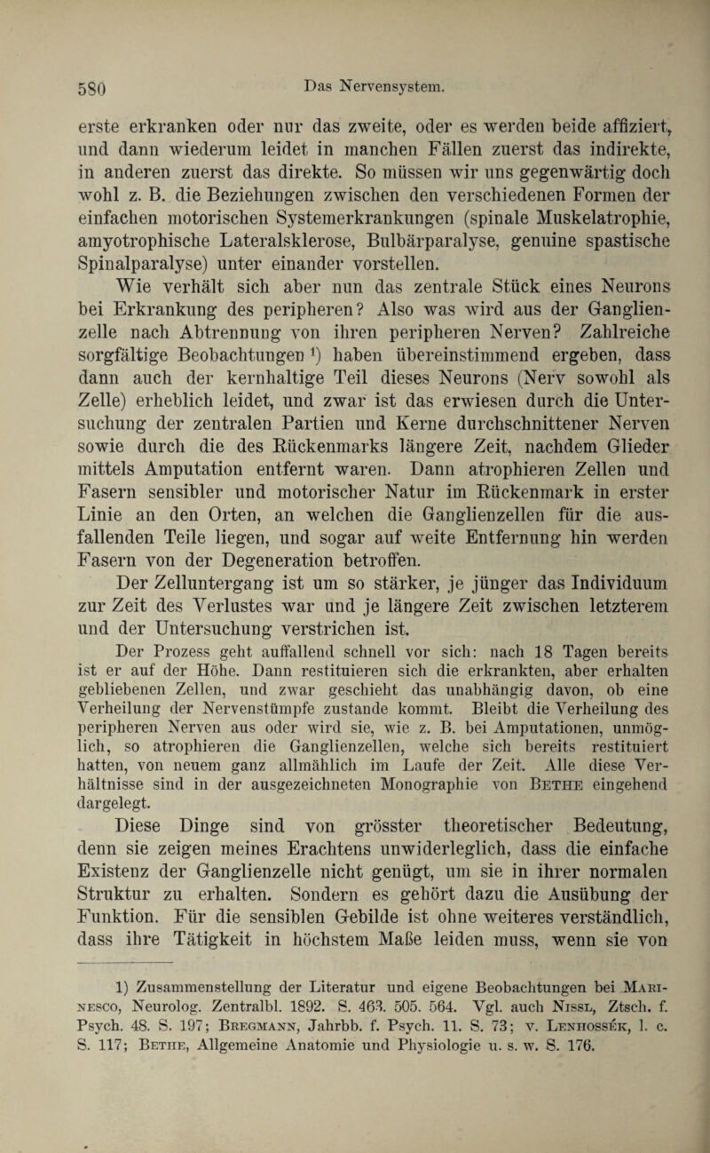 erste erkranken oder nur das zweite, oder es werden beide affiziert, und dann wiederum leidet in manchen Fällen zuerst das indirekte, in anderen zuerst das direkte. So müssen wir uns gegenwärtig docli wohl z. B. die Beziehungen zwischen den verschiedenen Formen der einfachen motorischen Systemerkrankungen (spinale Muskelatrophie, amyotrophische Lateralsklerose, Bulbärparalyse, genuine spastische Spinalparalyse) unter einander vorstellen. Wie verhält sich aber nun das zentrale Stück eines Neurons bei Erkrankung des peripheren? Also was wird aus der Ganglien¬ zelle nach Abtrennung von ihren peripheren Nerven? Zahlreiche sorgfältige Beobachtungen *) haben übereinstimmend ergeben, dass dann auch der kernhaltige Teil dieses Neurons (Nerv sowohl als Zelle) erheblich leidet, und zwar ist das erwiesen durch die Unter¬ suchung der zentralen Partien und Kerne durchschnittener Nerven sowie durch die des Rückenmarks längere Zeit, nachdem Glieder mittels Amputation entfernt waren. Dann atrophieren Zellen und Fasern sensibler und motorischer Natur im Rückenmark in erster Linie an den Orten, an welchen die Ganglienzellen für die aus¬ fallenden Teile liegen, und sogar auf weite Entfernung hin werden Fasern von der Degeneration betroffen. Der Zelluntergang ist um so stärker, je jünger das Individuum zur Zeit des Verlustes war und je längere Zeit zwischen letzterem und der Untersuchung verstrichen ist. Der Prozess geht auffallend schnell vor sich: nach 18 Tagen bereits ist er auf der Höhe. Dann restituieren sich die erkrankten, aber erhalten gebliebenen Zellen, und zwar geschieht das unabhängig davon, ob eine Verheilung der Nervenstümpfe zustande kommt. Bleibt die Verheilung des peripheren Nerven aus oder wird sie, wie z. B. bei Amputationen, unmög¬ lich, so atrophieren die Ganglienzellen, welche sich bereits restituiert hatten, von neuem ganz allmählich im Laufe der Zeit. Alle diese Ver¬ hältnisse sind in der ausgezeichneten Monographie von Bethe eingehend dargelegt. Diese Dinge sind von grösster theoretischer Bedeutung, denn sie zeigen meines Erachtens unwiderleglich, dass die einfache Existenz der Ganglienzelle nicht genügt, um sie in ihrer normalen Struktur zu erhalten. Sondern es gehört dazu die Ausübung der Funktion. Für die sensiblen Gebilde ist ohne weiteres verständlich, dass ihre Tätigkeit in höchstem Maße leiden muss, wenn sie von 1) Zusammenstellung der Literatur und eigene Beobachtungen bei Mari- nesco, Neurolog. Zentralbl. 1892. S. 463. 505. 564. Vgl. auch Nissl, Ztsch. f. Psych. 48. S. 197; Bregmann, Jahrbb. f. Psych. 11. S. 73; v. Lenhossek, 1. c. S. 117; Betiie, Allgemeine Anatomie und Physiologie u. s. w. S. 176.