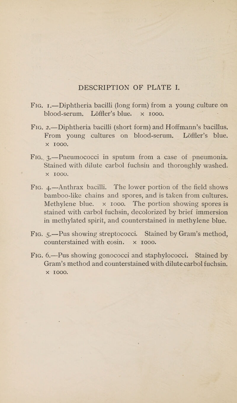 Fig. i.—Diphtheria bacilli (long form) from a young culture on blood-serum. Loffler’s blue, x 1000. Fig. 2.—Diphtheria bacilli (short form) and Hoffmann’s bacillus. From young cultures on blood-serum. Loffler’s blue, x iooo. Fig., 3.—Pneumococci in sputum from a case of pneumonia. Stained with dilute carbol fuchsin and thoroughly washed, x 1000. Fig. 4.—Anthrax bacilli. The lower portion of the field shows bamboo-like chains and spores, and is taken from cultures. Methylene blue, x 1000. The portion showing spores is stained with carbol fuchsin, decolorized by brief immersion in methylated spirit, and counterstained in methylene blue. Fig. .5.—Pus showing streptococci. Stained by Gram’s method, counterstained with eosin. x 1000. Fig. 6.—Pus showing gonococci and staphylococci. Stained by Gram’s method and counterstained with dilute carbol fuchsin. x 1000.