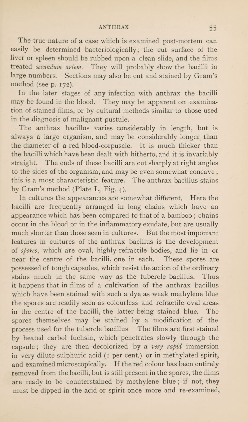 The true nature of a case which is examined post-mortem can easily be determined bacteriologically; the cut surface of the liver or spleen should be rubbed upon a clean slide, and the films treated secundum avtem. They will probably show the bacilli in large numbers. Sections may also be cut and stained by Gram’s method (see p. 172). In the later stages of any infection with anthrax the bacilli may be found in the blood. They may be apparent on examina¬ tion of stained films, or by cultural methods similar to those used in the diagnosis of malignant pustule. The anthrax bacillus varies considerably in length, but is always a large organism, and may be considerably longer than the diameter of a red blood-corpuscle. It is much thicker than the bacilli which have been dealt with hitherto, and it is invariably straight. The ends of these bacilli are cut sharply at right angles to the sides of the organism, and may be even somewhat concave ; this is a most characteristic feature. The anthrax bacillus stains by Gram’s method (Plate I., Fig. 4). In cultures the appearances are somewhat different. Here the bacilli are frequently arranged in long chains which have an appearance which has been compared to that of a bamboo ; chains occur in the blood or in the inflammatory exudate, but are usually much shorter than those seen in cultures. But the most important features in cultures of the anthrax bacillus is the development of spores, which are oval, highly refractile bodies, and lie in or near the centre of the bacilli, one in each. These spores are possessed of tough capsules, which resist the action of the ordinary stains much in the same way as the tubercle bacillus. Thus it happens that in films of a cultivation of the anthrax bacillus which have been stained with such a dye as weak methylene blue the spores are readily seen as colourless and refractile oval areas in the centre of the bacilli, the latter being stained blue. The spores themselves may be stained by a modification of the process used for the tubercle bacillus. The films are first stained by heated carbol fuchsin, which penetrates slowly through the capsule; they are then decolorized by a very rapid immersion in very dilute sulphuric acid (1 per cent.) or in methylated spirit, and examined microscopically. If the red colour has been entirely removed from the bacilli, but is still present in the spores, the films are ready to be counterstained by methylene blue ; if not, they must be dipped in the acid or spirit once more and re-examined,