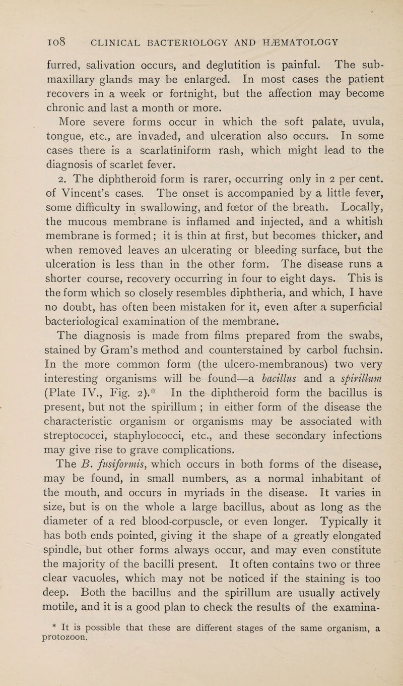 furred, salivation occurs, and deglutition is painful. The sub¬ maxillary glands may be enlarged. In most cases the patient recovers in a week or fortnight, but the affection may become chronic and last a month or more. More severe forms occur in which the soft palate, uvula, tongue, etc., are invaded, and ulceration also occurs. In some cases there is a scarlatiniform rash, which might lead to the diagnosis of scarlet fever. 2. The diphtheroid form is rarer, occurring only in 2 per cent, of Vincent’s cases. The onset is accompanied by a little fever, some difficulty in swallowing, and fcetor of the breath. Locally, the mucous membrane is inflamed and injected, and a whitish membrane is formed; it is thin at first, but becomes thicker, and when removed leaves an ulcerating or bleeding surface, but the ulceration is less than in the other form. The disease runs a shorter course, recovery occurring in four to eight days. This is the form which so closely resembles diphtheria, and which, I have no doubt, has often been mistaken for it, even after a superficial bacteriological examination of the membrane. The diagnosis is made from films prepared from the swabs, stained by Gram’s method and counterstained by carbol fuchsin. In the more common form (the ulcero-membranous) two very interesting organisms will be found—a bacillus and a spirillum (Plate IV., Fig. 2}.* In the diphtheroid form the bacillus is present, but not the spirillum ; in either form of the disease the characteristic organism or organisms may be associated with streptococci, staphylococci, etc., and these secondary infections may give rise to grave complications. The B. fusifovmis, which occurs in both forms of the disease, may be found, in small numbers, as a normal inhabitant of the mouth, and occurs in myriads in the disease. It varies in size, but is on the whole a large bacillus, about as long as the diameter of a red blood-corpuscle, or even longer. Typically it has both ends pointed, giving it the shape of a greatly elongated spindle, but other forms always occur, and may even constitute the majority of the bacilli present. It often contains two or three clear vacuoles, which may not be noticed if the staining is too deep. Both the bacillus and the spirillum are usually actively motile, and it is a good plan to check the results of the examina- * It is possible that these are different stages of the same organism, a protozoon.