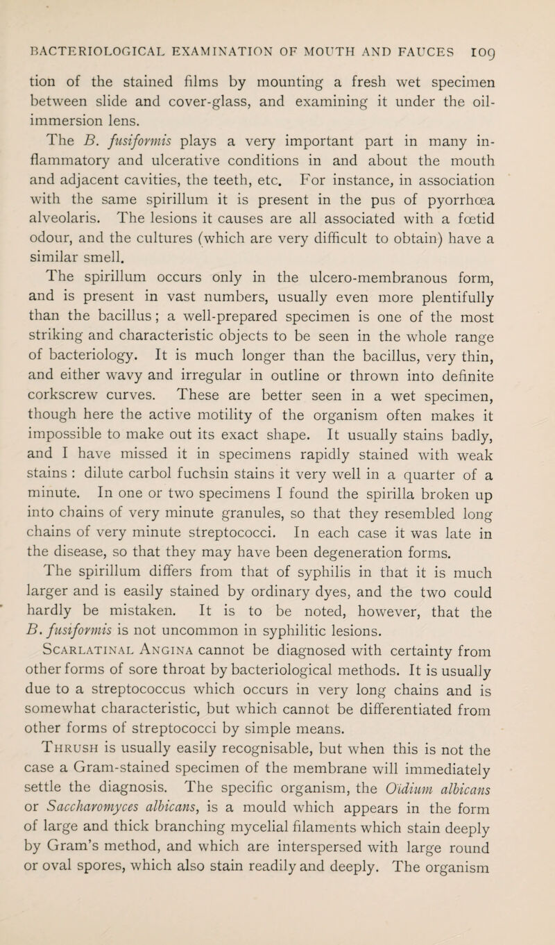 tion of the stained films by mounting a fresh wet specimen between slide and cover-glass, and examining it under the oil- immersion lens. The B. fusiformis plays a very important part in many in¬ flammatory and ulcerative conditions in and about the mouth and adjacent cavities, the teeth, etc. For instance, in association with the same spirillum it is present in the pus of pyorrhoea alveolaris. The lesions it causes are all associated with a foetid odour, and the cultures (which are very difficult to obtain) have a similar smell. The spirillum occurs only in the ulcero-membranous form, and is present in vast numbers, usually even more plentifully than the bacillus ; a well-prepared specimen is one of the most striking and characteristic objects to be seen in the whole range of bacteriology. It is much longer than the bacillus, very thin, and either wavy and irregular in outline or thrown into definite corkscrew curves. These are better seen in a wet specimen, though here the active motility of the organism often makes it impossible to make out its exact shape. It usually stains badly, and I have missed it in specimens rapidly stained with weak stains : dilute carbol fuchsin stains it very well in a quarter of a minute. In one or two specimens I found the spirilla broken up into chains of very minute granules, so that they resembled long chains of very minute streptococci. In each case it was late in the disease, so that they may have been degeneration forms. The spirillum differs from that of syphilis in that it is much larger and is easily stained by ordinary dyes, and the two could hardly be mistaken. It is to be noted, however, that the B. fusiformis is not uncommon in syphilitic lesions. Scarlatinal Angina cannot be diagnosed with certainty from other forms of sore throat by bacteriological methods. It is usually due to a streptococcus which occurs in very long chains and is somewhat characteristic, but which cannot be differentiated from other forms of streptococci by simple means. Thrush is usually easily recognisable, but when this is not the case a Gram-stained specimen of the membrane will immediately settle the diagnosis. The specific organism, the O'idium albicans or Saccharomyces albicans, is a mould which appears in the form of large and thick branching mycelial filaments which stain deeply by Gram’s method, and which are interspersed with large round or oval spores, which also stain readily and deeply. The organism