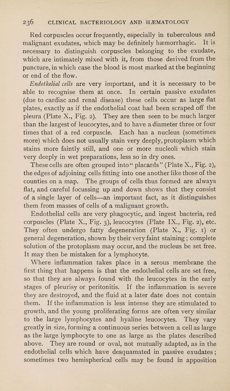 Red corpuscles occur frequently, especially in tuberculous and malignant exudates, which may be definitely haemorrhagic. It is necessary to distinguish corpuscles belonging to the exudate, which are intimately mixed with it, from those derived from the puncture, in which case the blood is most marked at the beginning or end of the flow. Endothelial cells are very important, and it is necessary to be able to recognise them at once. In certain passive exudates (due to cardiac and renal disease) these cells occur as large flat plates, exactly as if the endothelial coat had been scraped off the pleura (Plate X., Fig. 2). They are then seen to be much larger than the largest of leucocytes, and to have a diameter three or four times that of a red corpuscle. Each has a nucleus (sometimes more) which does not usually stain very deeply, protoplasm which stains more faintly still, and one or more nucleoli which stain very deeply in wet preparations, less so in dry ones. These cells are often grouped into“ placards” (Plate X., Fig. 2), the edges of adjoining cells fitting into one another like those of the counties on a map. The groups of cells thus formed are always flat, and careful focussing up and down shows that they consist of a single layer of cells—an important fact, as it distinguishes them from masses of cells of a malignant growth. Endothelial cells are very phagocytic, and ingest bacteria, red corpuscles (Plate X., Fig. 3), leucocytes (Plate IX., Fig. 2), etc. They often undergo fatty degeneration (Plate X., Fig. 1) or general degeneration, shown by their very faint staining ; complete solution of the protoplasm may occur, and the nucleus be set free. It may then be mistaken for a lymphocyte. Where inflammation takes place in a serous membrane the first thing that happens is that the endothelial cells are set free, so that they are always found with the leucocytes in the early stages of pleurisy or peritonitis. If the inflammation is severe they are destroyed, and the fluid at a later date does not contain them. If the inflammation is less intense they are stimulated to growth, and the young proliferating forms are often very similar to the large lymphocytes and hyaline leucocytes. They vary greatly in size, forming a continuous series between a cell as large as the large lymphocyte to one as large as the plates described above. They are round or oval, not mutually adapted, as in the endothelial cells which have desquamated in passive exudates ; sometimes two hemispherical cells may be found in apposition