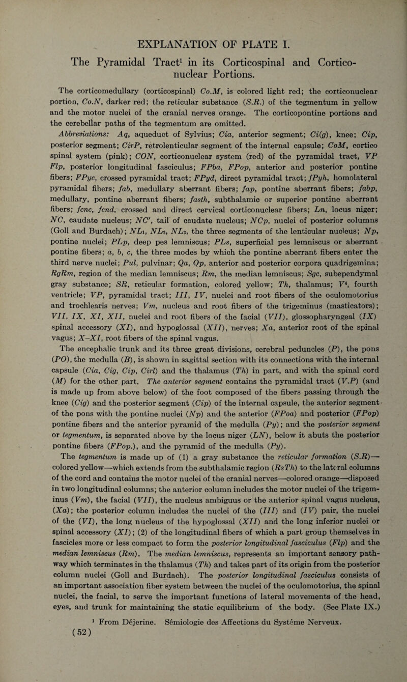 EXPLANATION OF PLATE I. The Pyramidal Tract1 in its Corticospinal and Cortico¬ nuclear Portions. The corticomedullary (corticospinal) Co.M, is colored light red; the corticonuclear portion, Co.N, darker red; the reticular substance (S.R.) of the tegmentum in yellow and the motor nuclei of the cranial nerves orange. The corticopontine portions and the cerebellar paths of the tegmentum are omitted. Abbreviations: Aq, aqueduct of Sylvius; Cia, anterior segment; Ci(g), knee; Cip, posterior segment; CirP, retrolenticular segment of the internal capsule; CoM, cortico spinal system (pink); CON, corticonuclear system (red) of the pyramidal tract, VP Pip, posterior longitudinal fasciculus; FPba, FPop, anterior and posterior pontine fibers; FPyc, crossed pyramidal tract; FPyd, direct pyramidal tract; fPyh, homolateral pyramidal fibers; fab, medullary aberrant fibers; fap, pontine aberrant fibers; fabp, medullary, pontine aberrant fibers; fasth, subthalamic or superior pontine aberrant fibers; fcnc, fend. crossed and direct cervical corticonuclear fibers; Ln, locus niger; NC, caudate nucleus; NC', tail of caudate nucleus; NCp, nuclei of posterior columns (Goll and Burdach); NLi, NLi, NL3, the three segments of the lenticular nucleus; Np, pontine nuclei; PLp, deep pes lemniscus; PLs, superficial pes lemniscus or aberrant pontine fibers; a, b, c, the three modes by which the pontine aberrant fibers enter the third nerve nuclei; Pul, pulvinar; Qa, Qp, anterior and posterior corpora quadrigemina; RgRm, region of the median lemniscus; Rm, the median lemniscus; Sgc, subependymal gray substance; SR, reticular formation, colored yellow; Th, thalamus; V4, fourth ventricle; VP, pyramidal tract; III, IV, nuclei and root fibers of the oculomotorius and trochlearis nerves; Vm, nucleus and root fibers of the trigeminus (masticators); VII, IX, XI, XII, nuclei and root fibers of the facial (VII), glossopharyngeal (IX) spinal accessory (XI), and hypoglossal (XII), nerves; Xa, anterior root of the spinal vagus; X-XI, root fibers of the spinal vagus. The encephalic trunk and its three great divisions, cerebral peduncles (P), the pons (PO), the medulla (B), is shown in sagittal section with its connections with the internal capsule (Cia, Cig, Cip, Cirl) and the thalamus (Th) in part, and with the spinal cord (M) for the other part. The anterior segment contains the pyramidal tract (V.P) (and is made up from above below) of the foot composed of the fibers passing through the knee (Cig) and the posterior segment (Cip) of the internal capsule, the anterior segment of the pons with the pontine nuclei (Np) and the anterior (FPoa) and posterior (FPop) pontine fibers and the anterior pyramid of the medulla (Py); and the posterior segment or tegmentum, is separated above by the locus niger (LN), below it abuts the posterior pontine fibers (FPop.), and the pyramid of the medulla (Py). The tegmentum is made up of (1) a gray substance the reticular formation (S.R)— colored yellow—which extends from the subthalamic region (RsTh) to the late ral columns of the cord and contains the motor nuclei of the cranial nerves—colored orange—disposed in two longitudinal columns; the anterior column includes the motor nuclei of the trigem¬ inus (Vm), the facial (VII), the nucleus ambiguus or the anterior spinal vagus nucleus, (Xa); the posterior column includes the nuclei of the (III) and (IV) pair, the nuclei of the (VI), the long nucleus of the hypoglossal (XII) and the long inferior nuclei or spinal accessory (XI); (2) of the longitudinal fibers of which a part group themselves in fascicles more or less compact to form the posterior longitudinal fasciculus (Flp) and the median lemniscus (Rm). The median lemniscus, represents an important sensory path¬ way which terminates in the thalamus (Th) and takes part of its origin from the posterior column nuclei (Goll and Burdach). The posterior longitudinal fasciculus consists of an important association fiber system between the nuclei of the oculomotorius, the spinal nuclei, the facial, to serve the important functions of lateral movements of the head, eyes, and trunk for maintaining the static equilibrium of the body. (See Plate IX.) 1 From Dejerine. Semiologie des Affections du Systeme Nerveux.