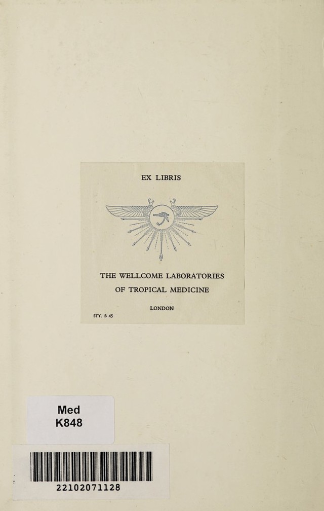 digitised image 2
